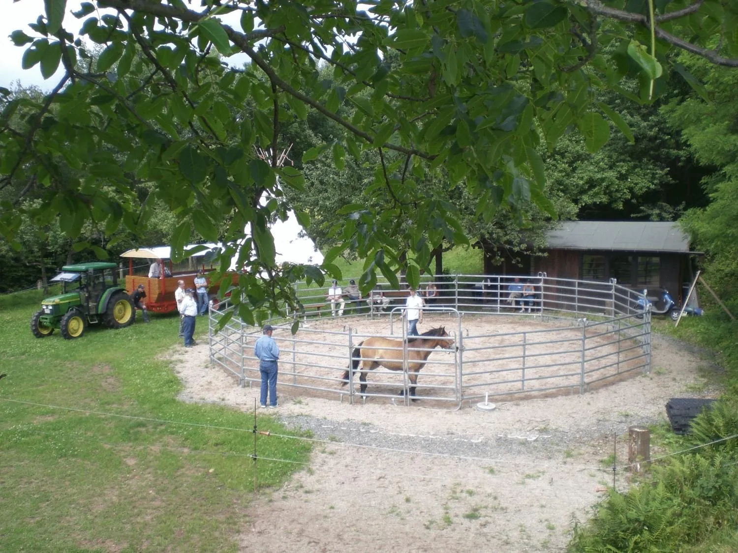 Business facilities in Hotel Hirsch