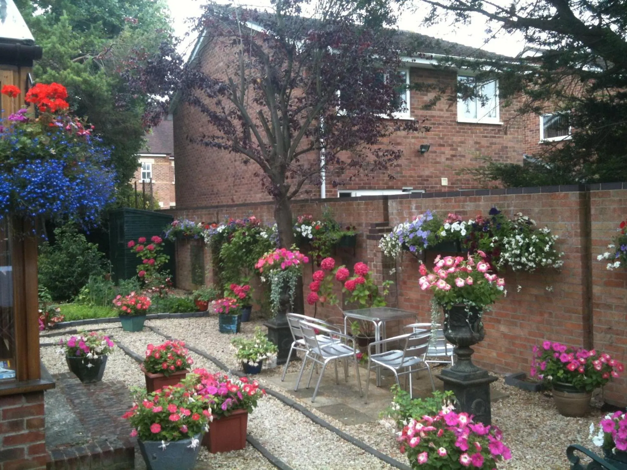 Garden in Green Gables Guest House