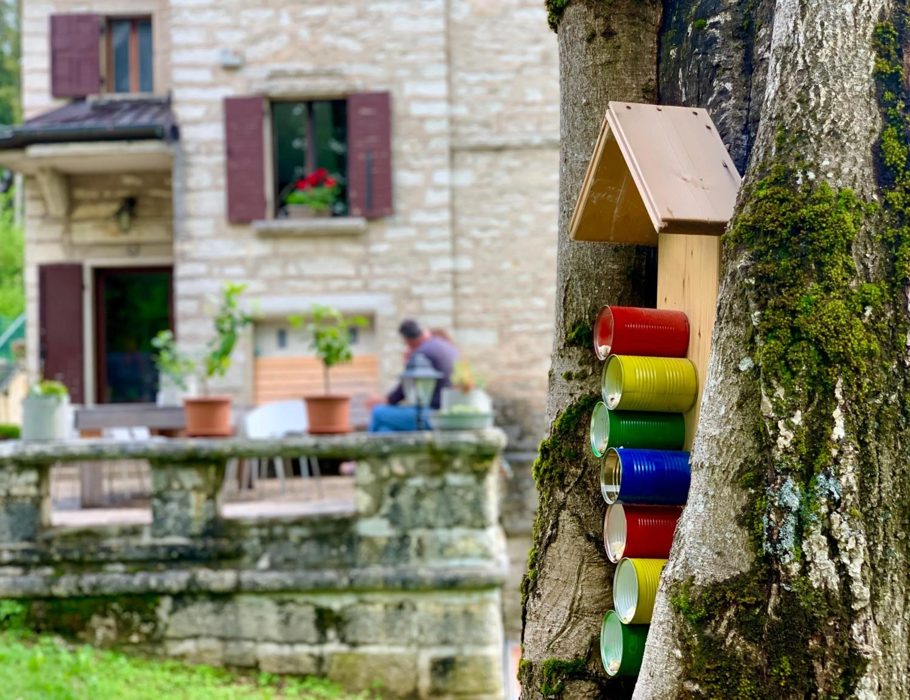 Garden in Giulio Mountain B&B