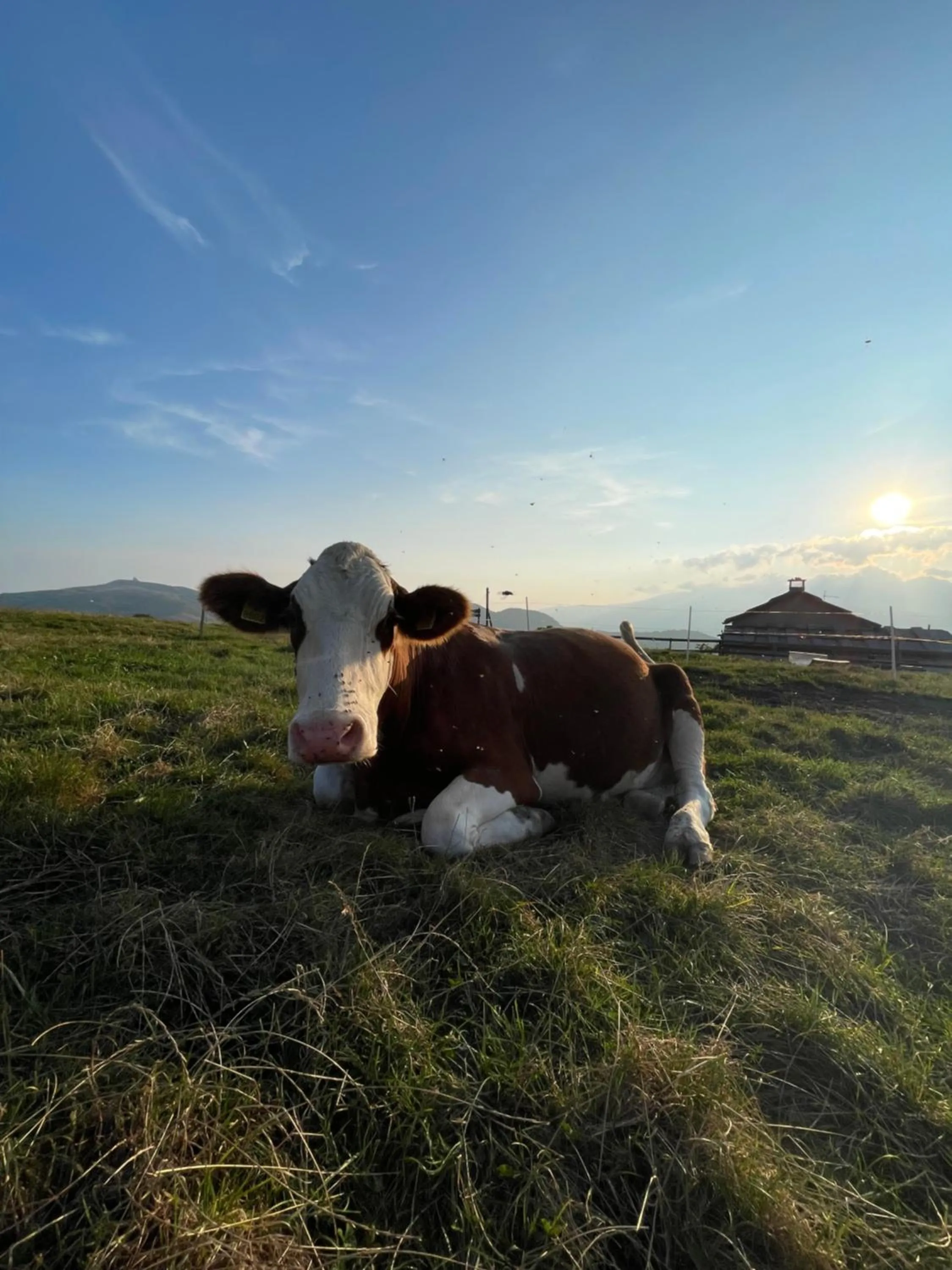 Natural landscape in Giulio Mountain B&B
