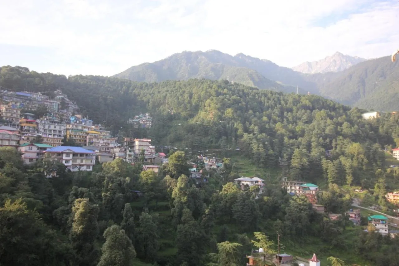 McLeod Ganj Mountain view