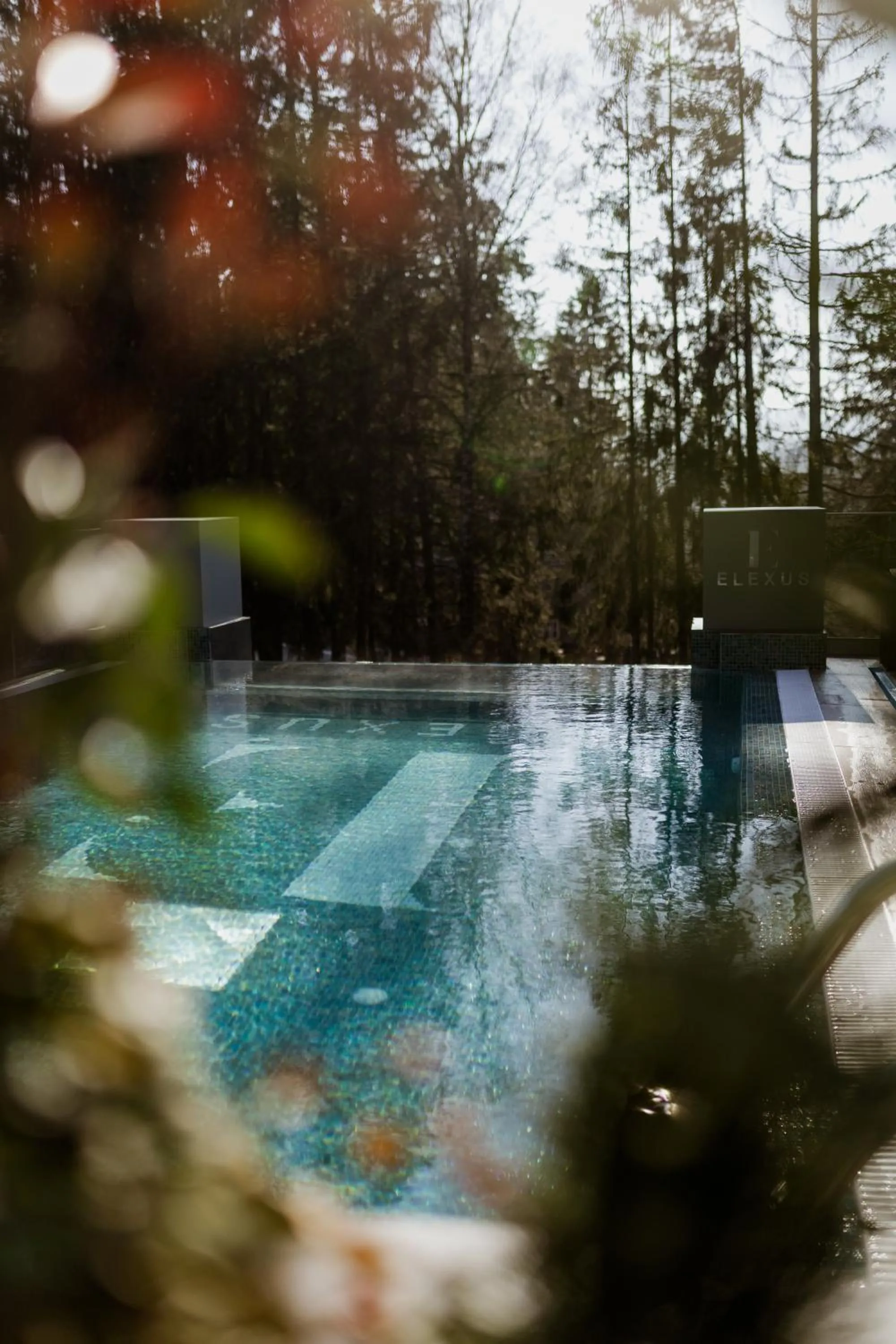 Swimming pool in Elexus Boutique