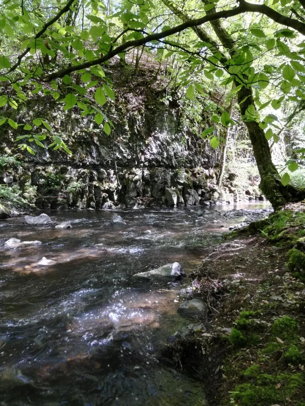 Natural landscape in Hotel Fürstenhof Bad Bertrich