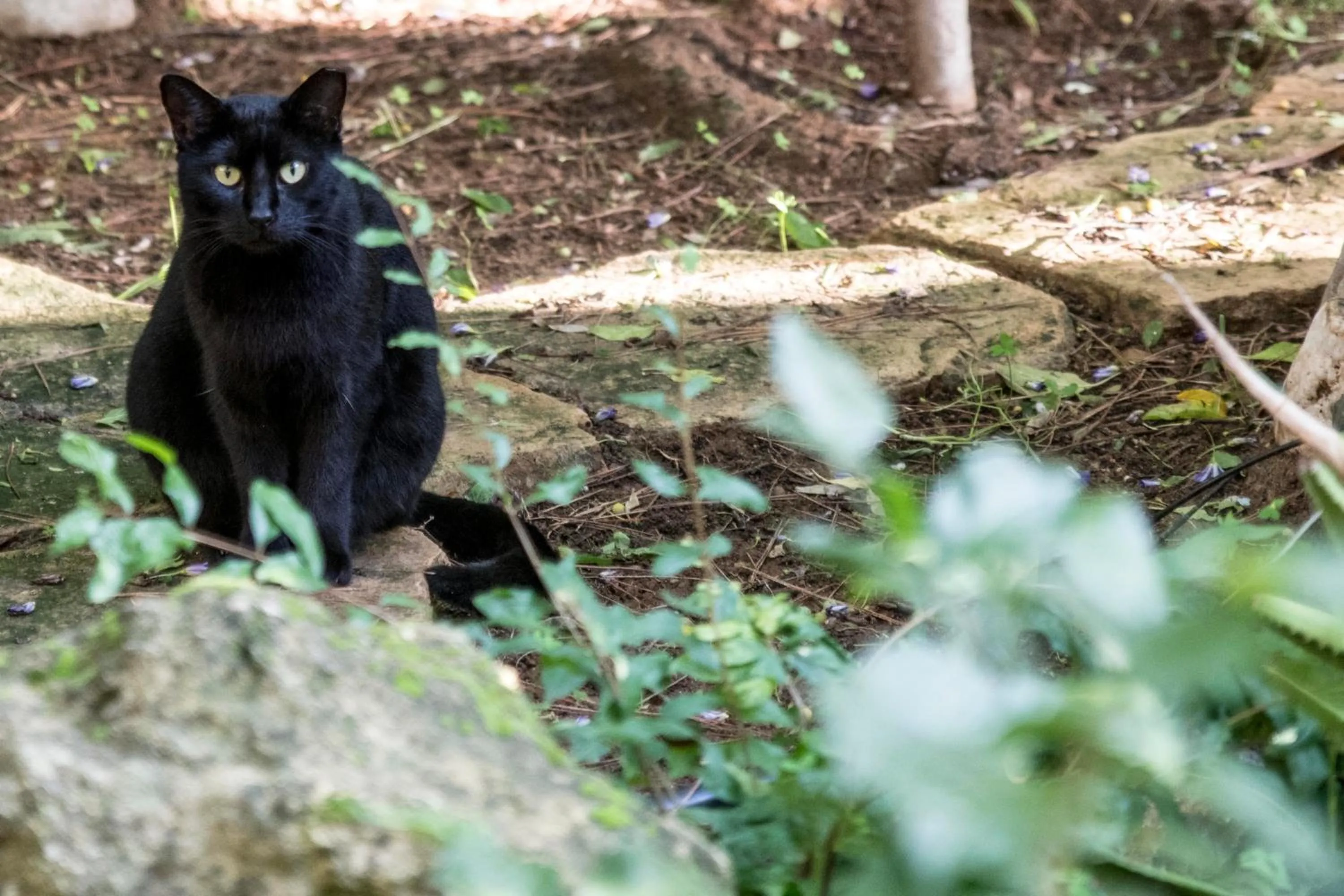 Bella Vita Style rooms & apartments