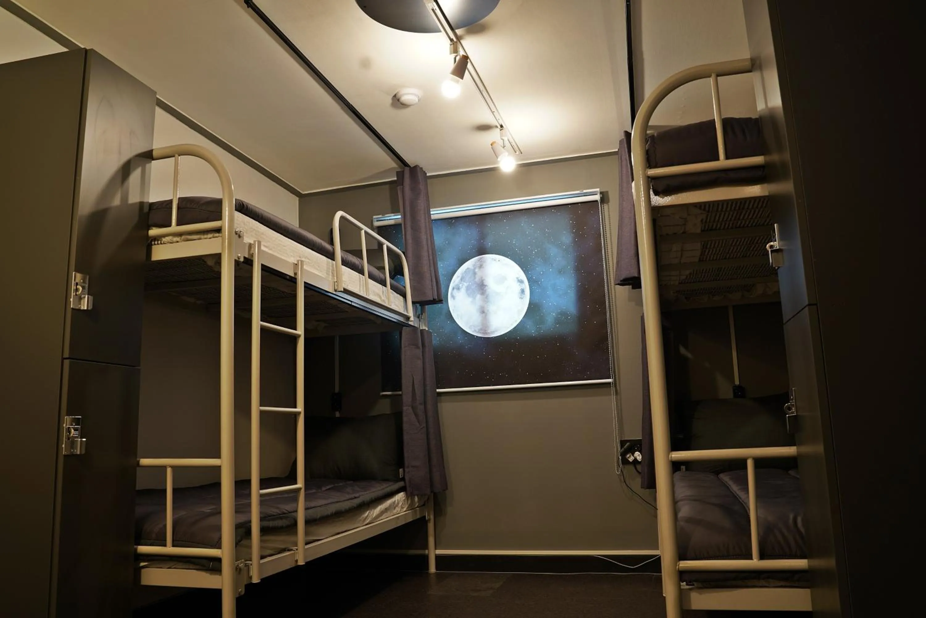 bunk bed, Bed in Apollo Guesthouse