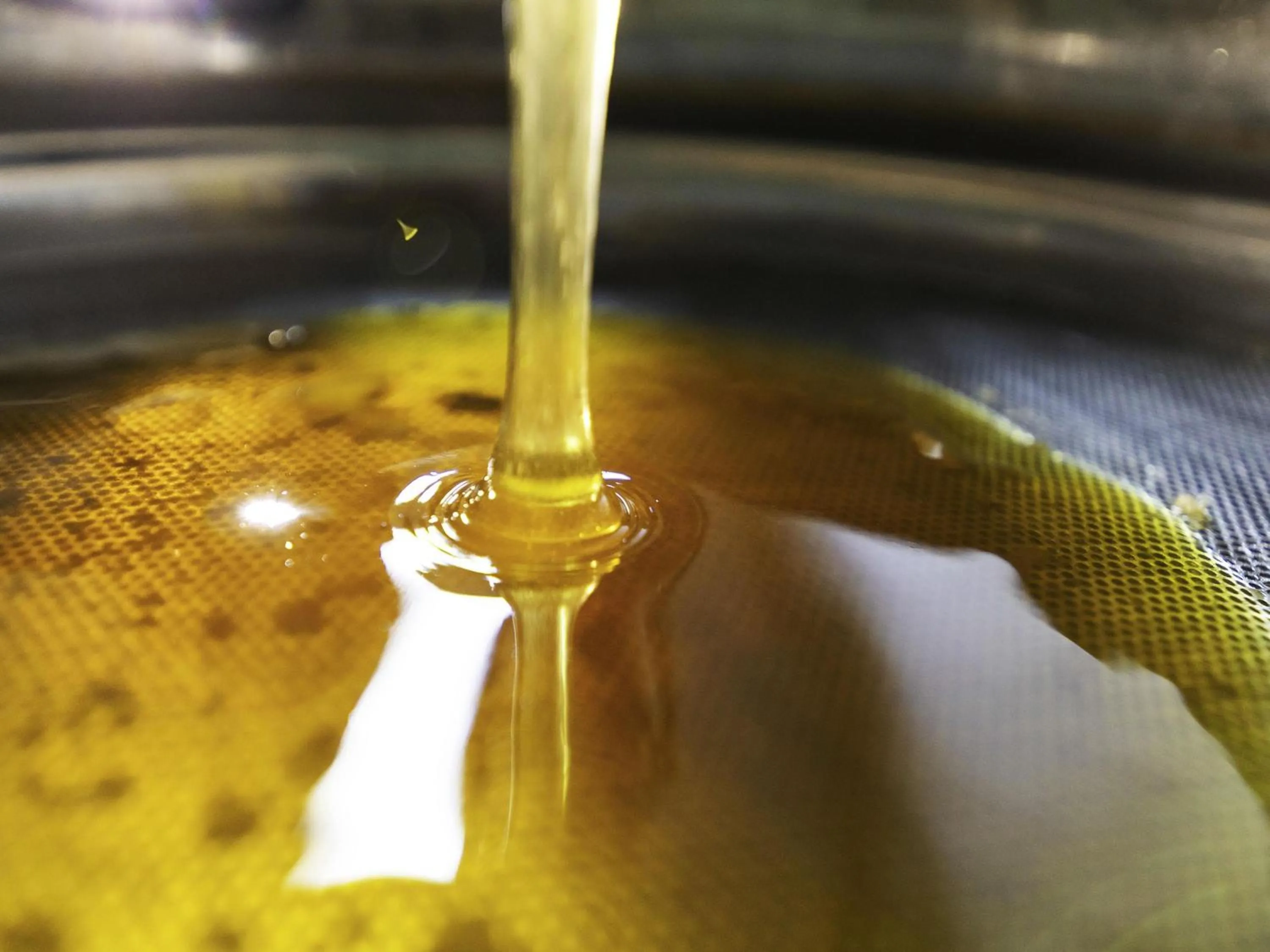 Breakfast in greet hôtel Pont du Gard - Route d'Avignon