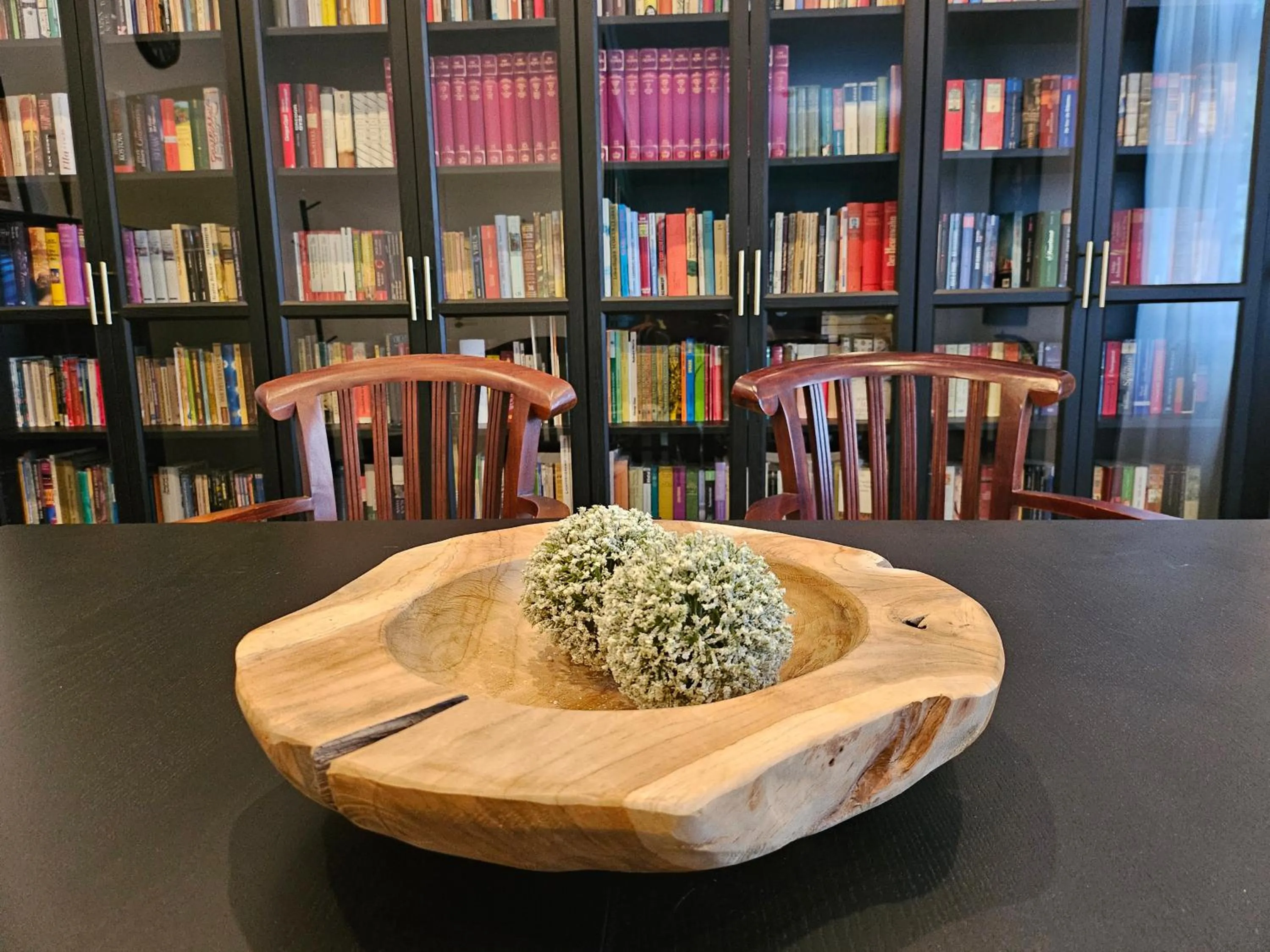 Library in Flora-Apart-Residenz