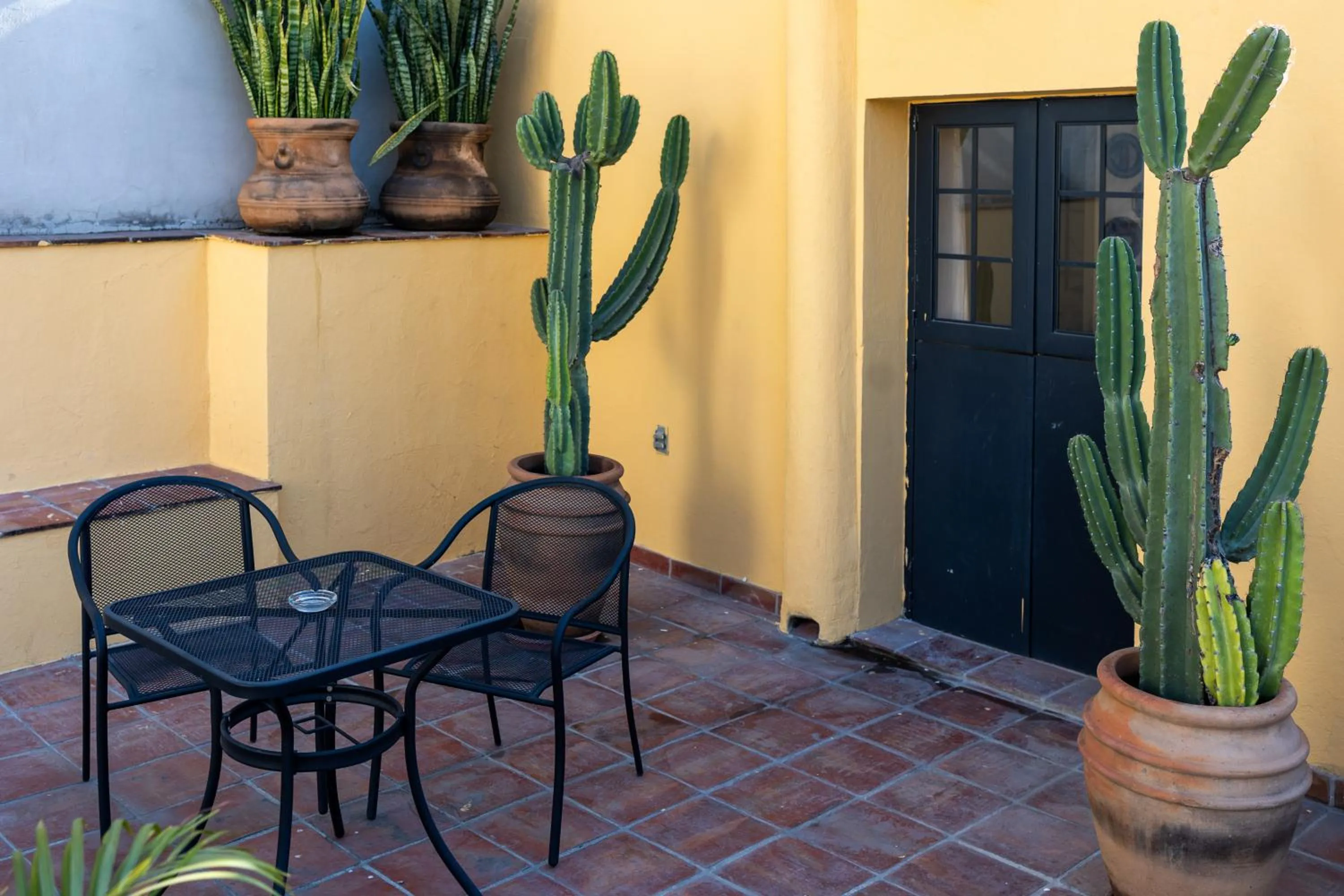 Patio in Casa Araiza