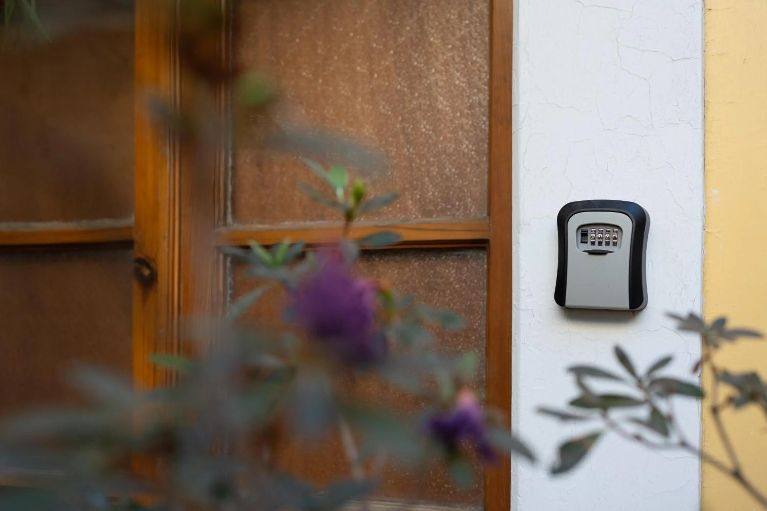 Property building in Casa Araiza