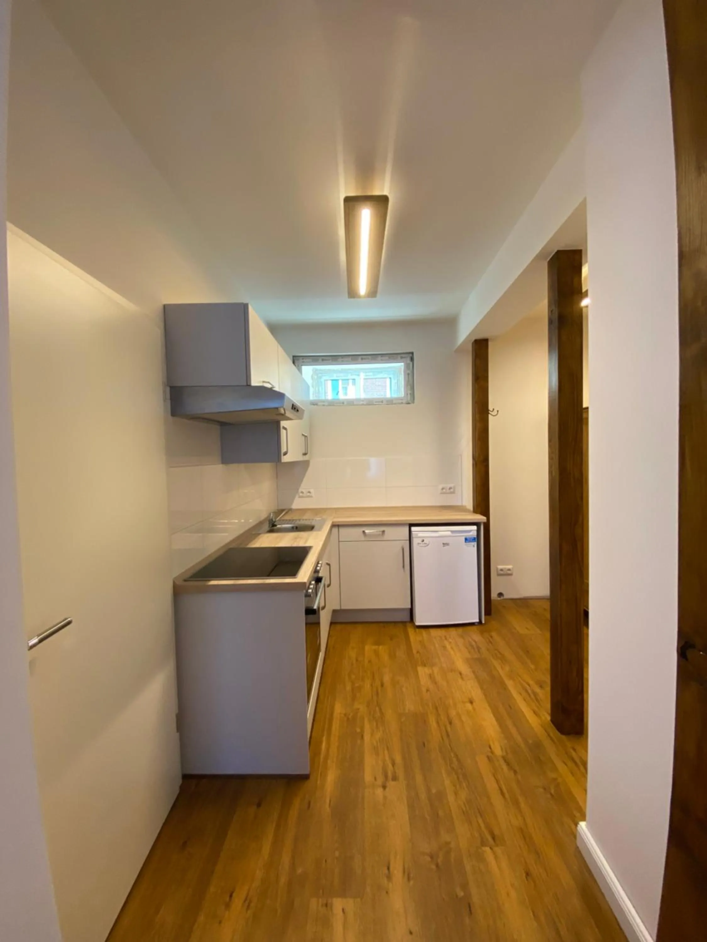 Kitchen or kitchenette in Hotel Elefant