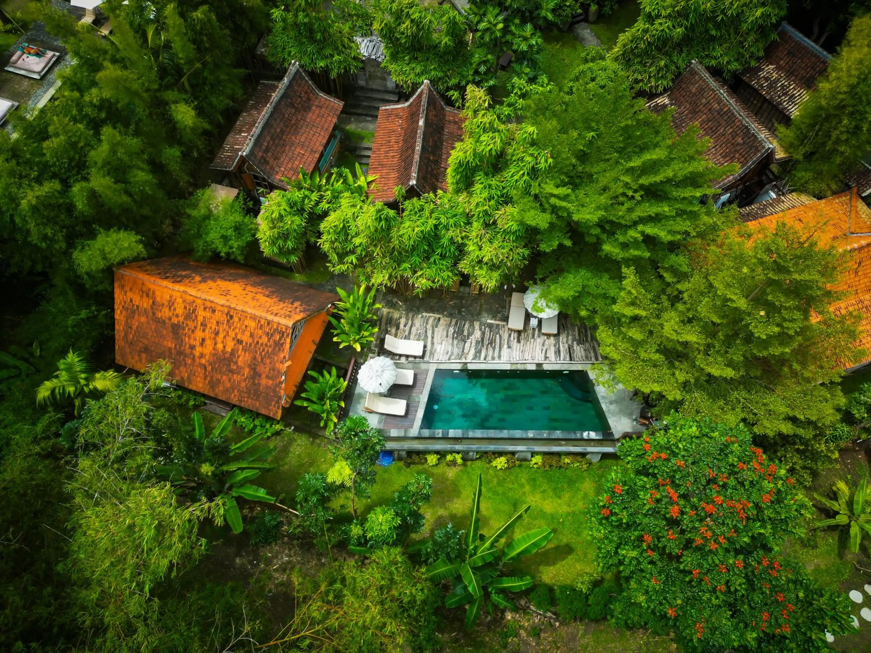 Property building in Ubuntu Bali Eco Yoga Retreat - CANGGU