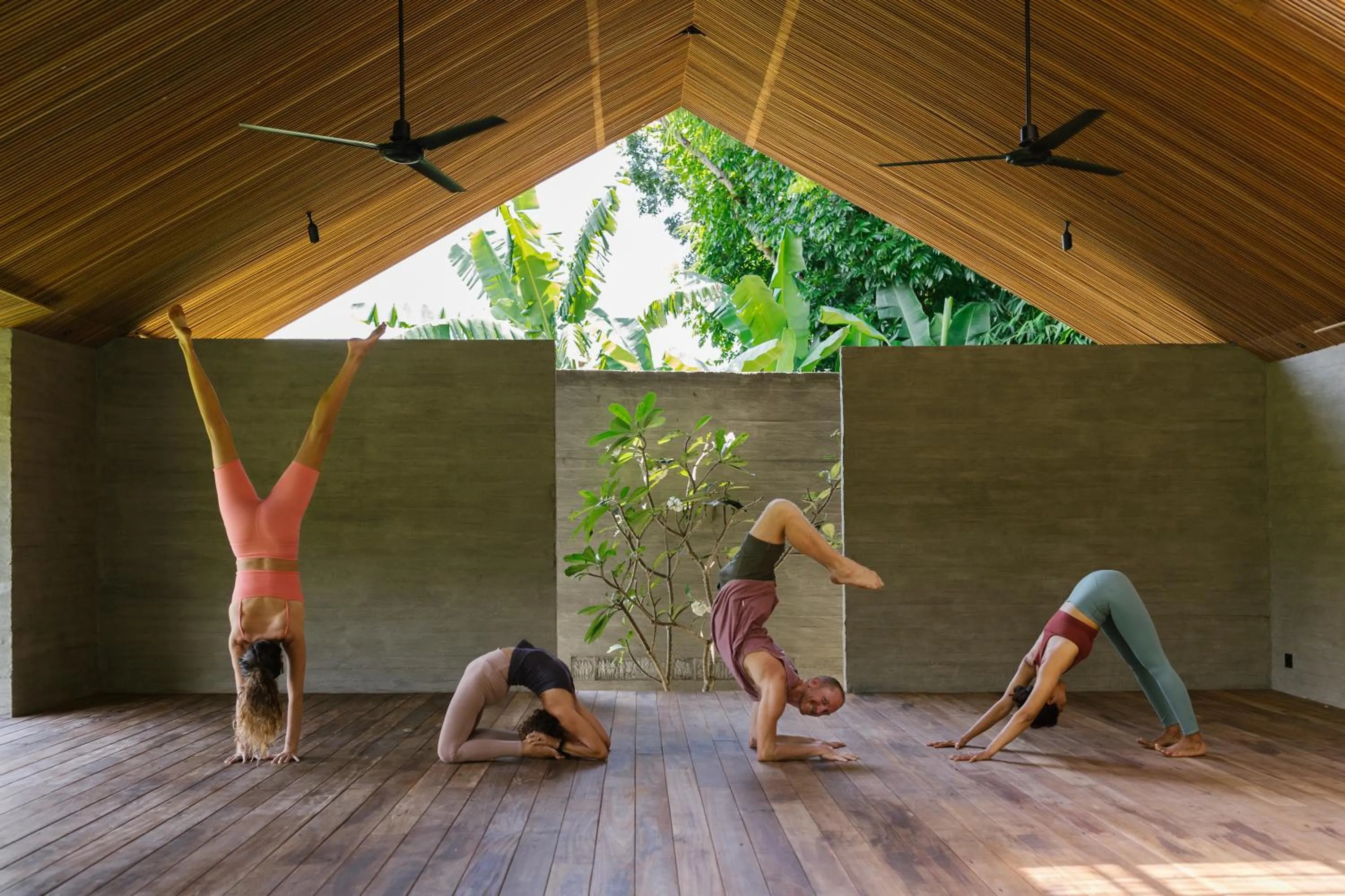 Property building in Ubuntu Bali Eco Yoga Retreat - CANGGU
