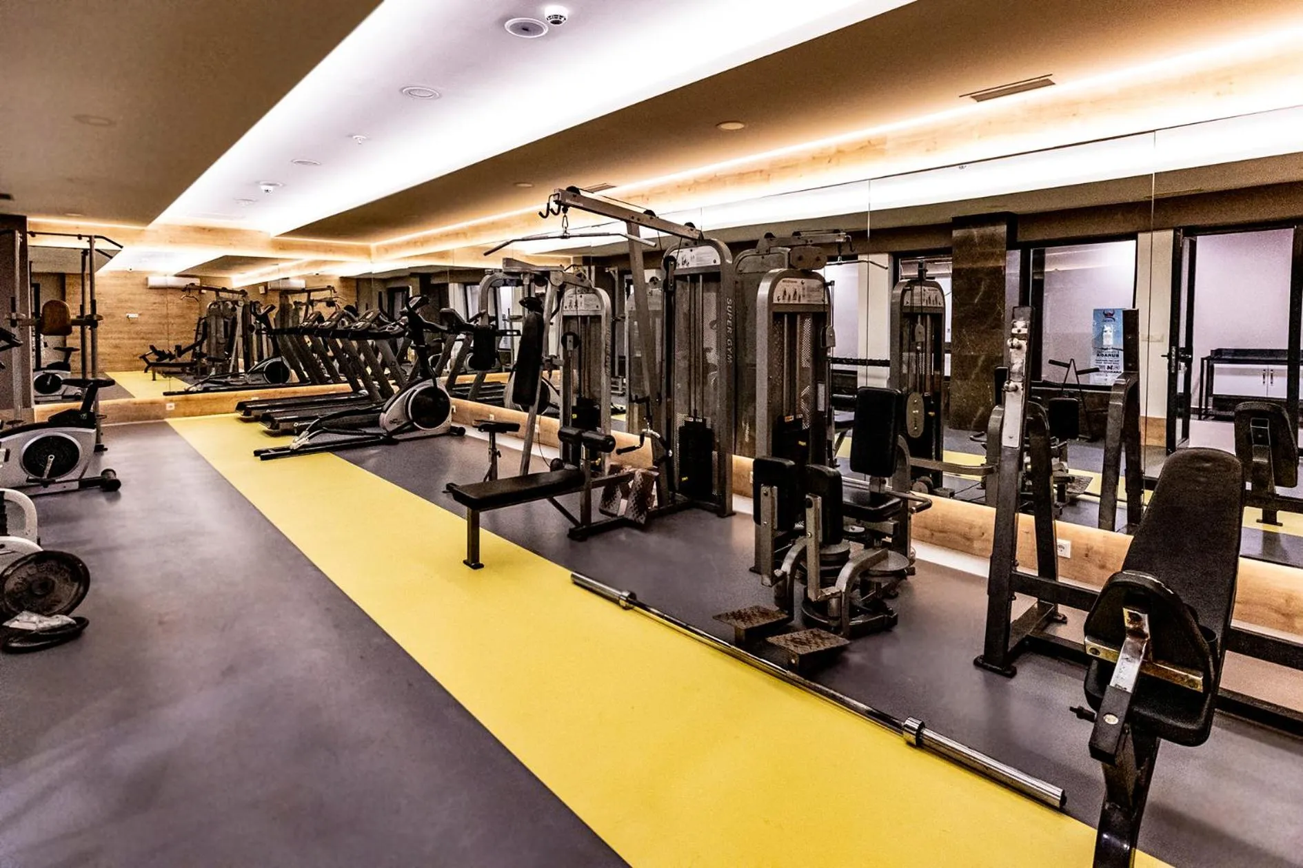 Fitness centre/facilities in Viking Park Hotel
