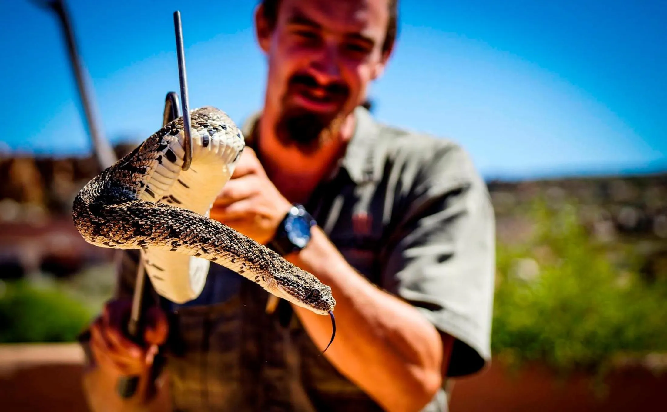 Activities in Kagga Kamma Eco Lodge & Spa