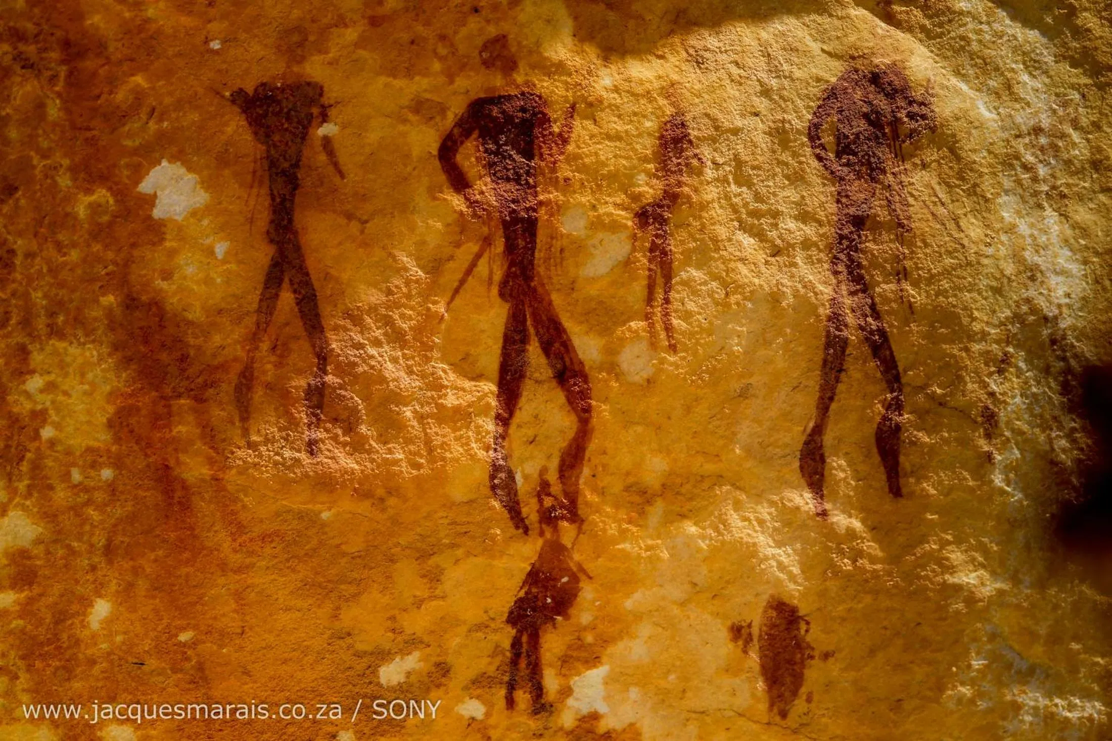 Other in Kagga Kamma Eco Lodge & Spa