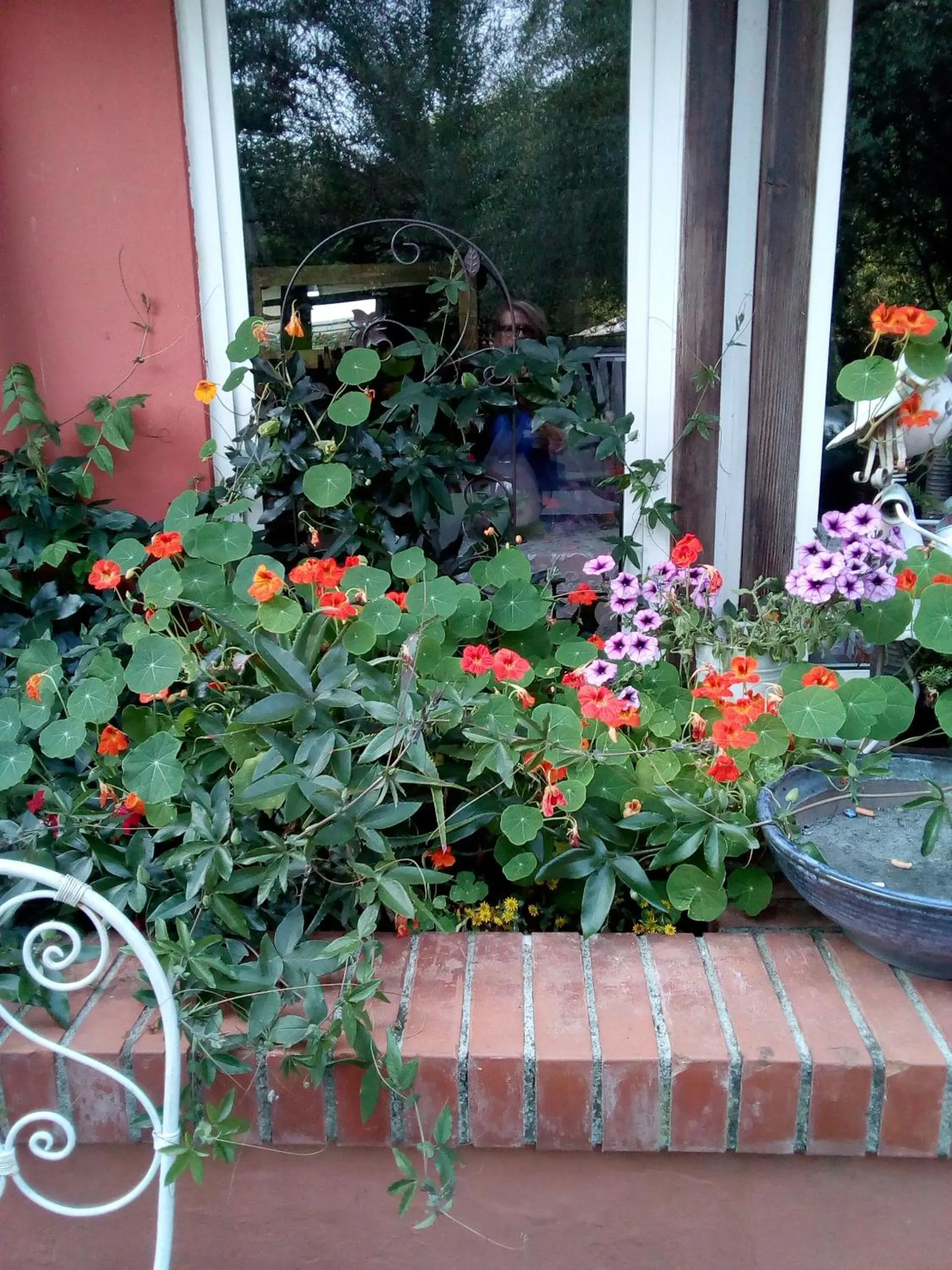 Gli Ulivi Bed & breakfast