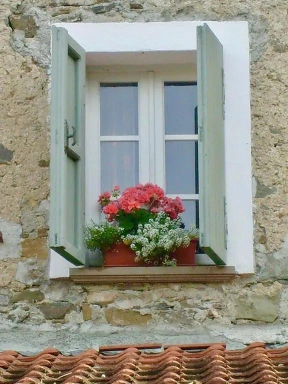 Gli Ulivi Bed & breakfast