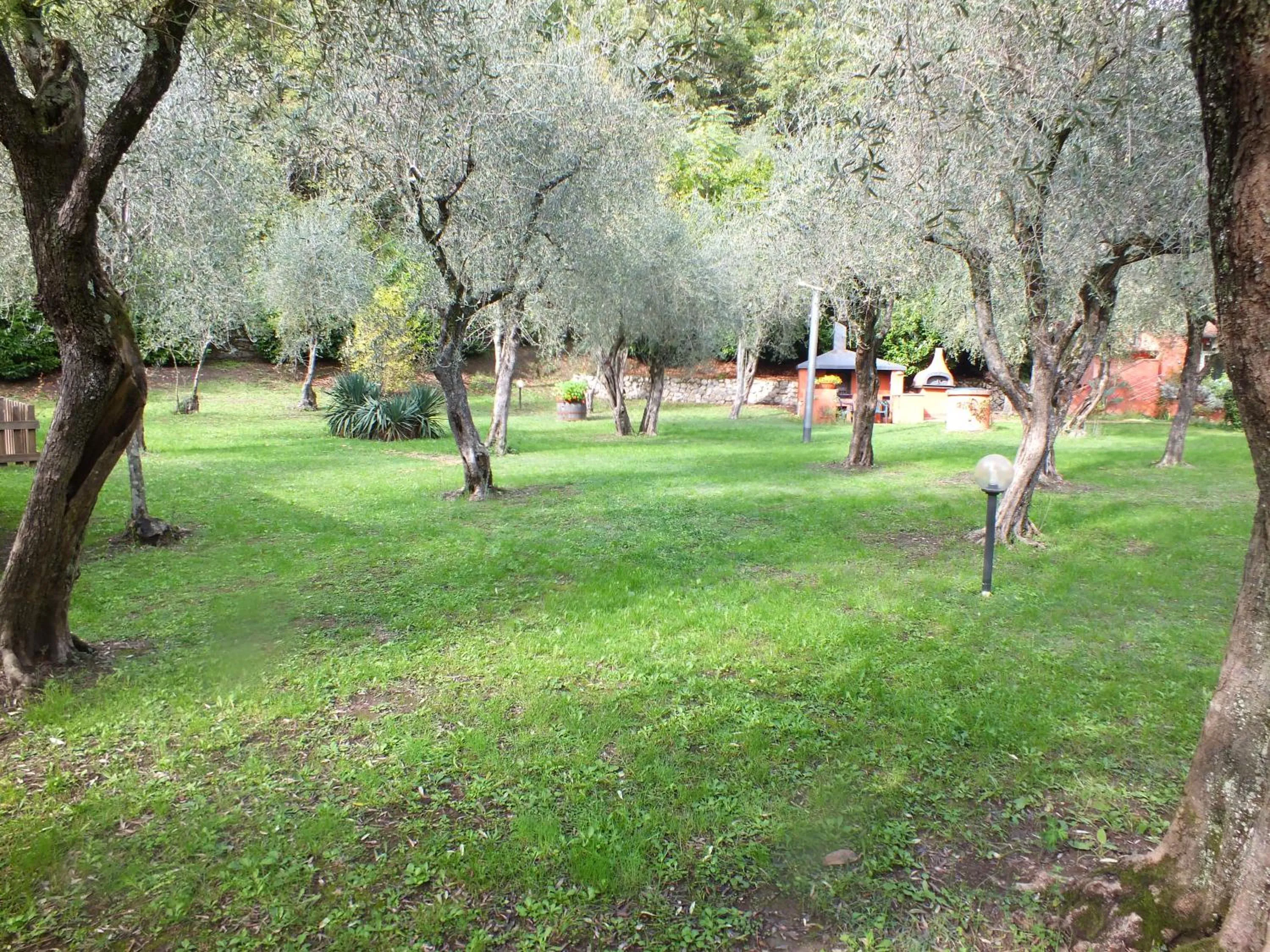 Gli Ulivi Bed & breakfast