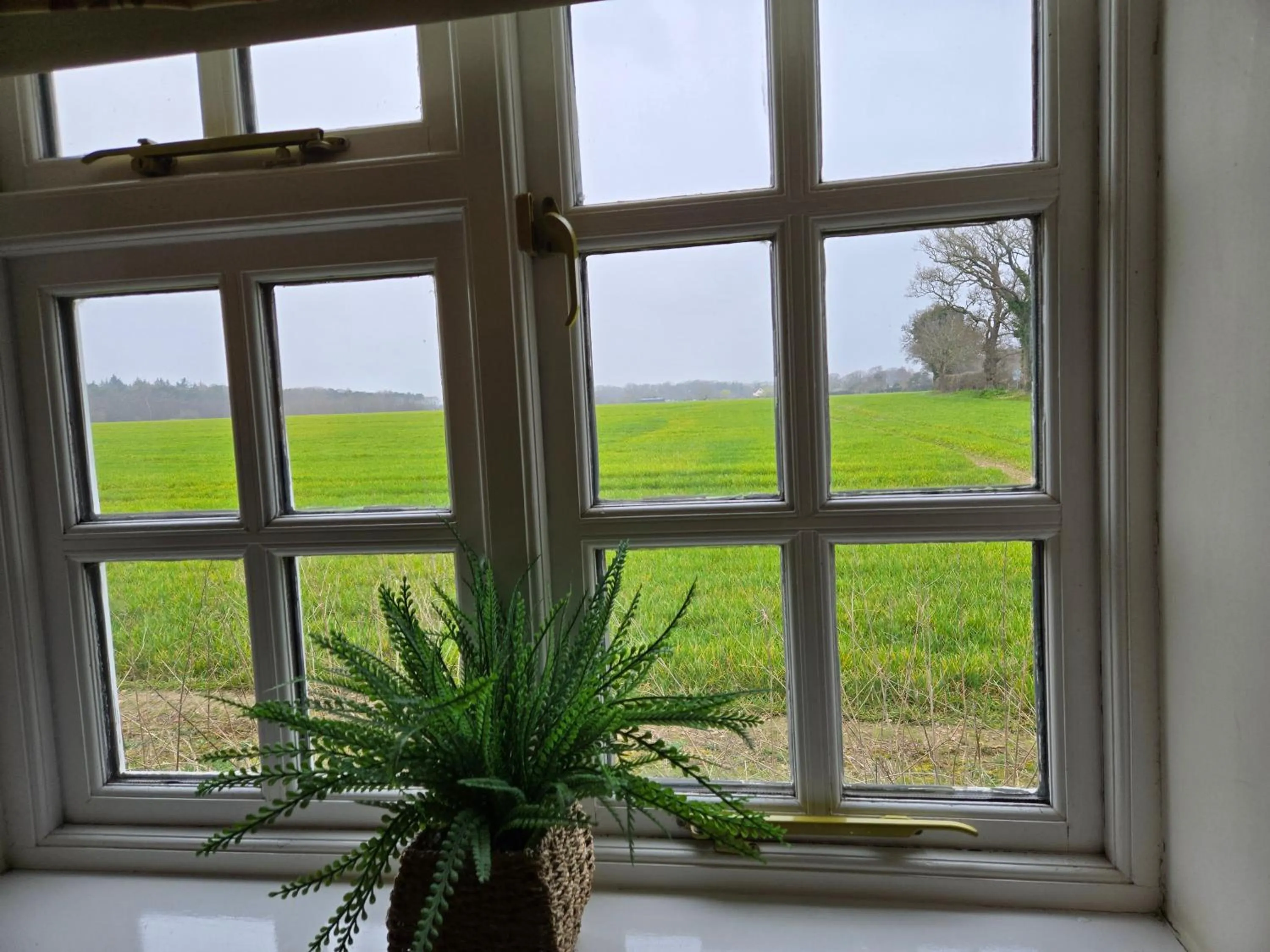 View (from property/room) in Wayside B&B