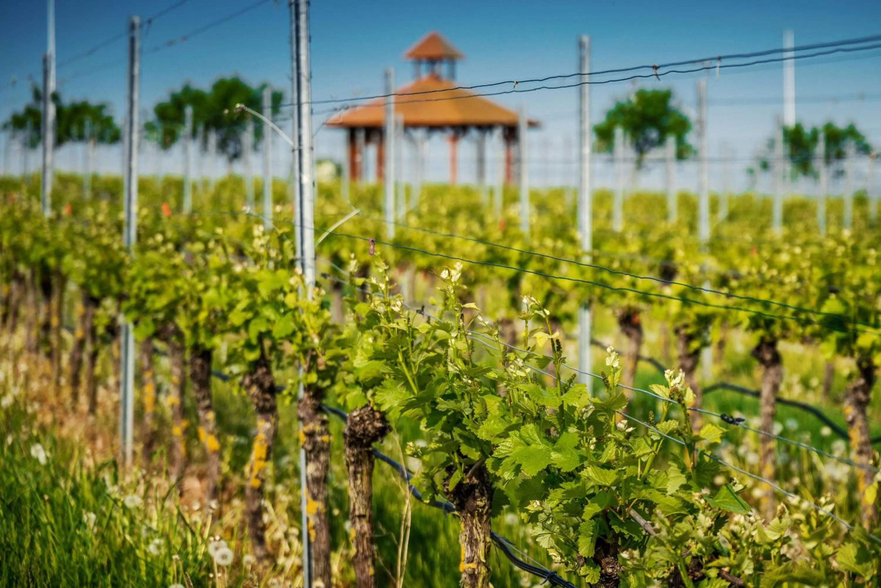 Nearby landmark in Best Western Plus Palatin Kongresshotel