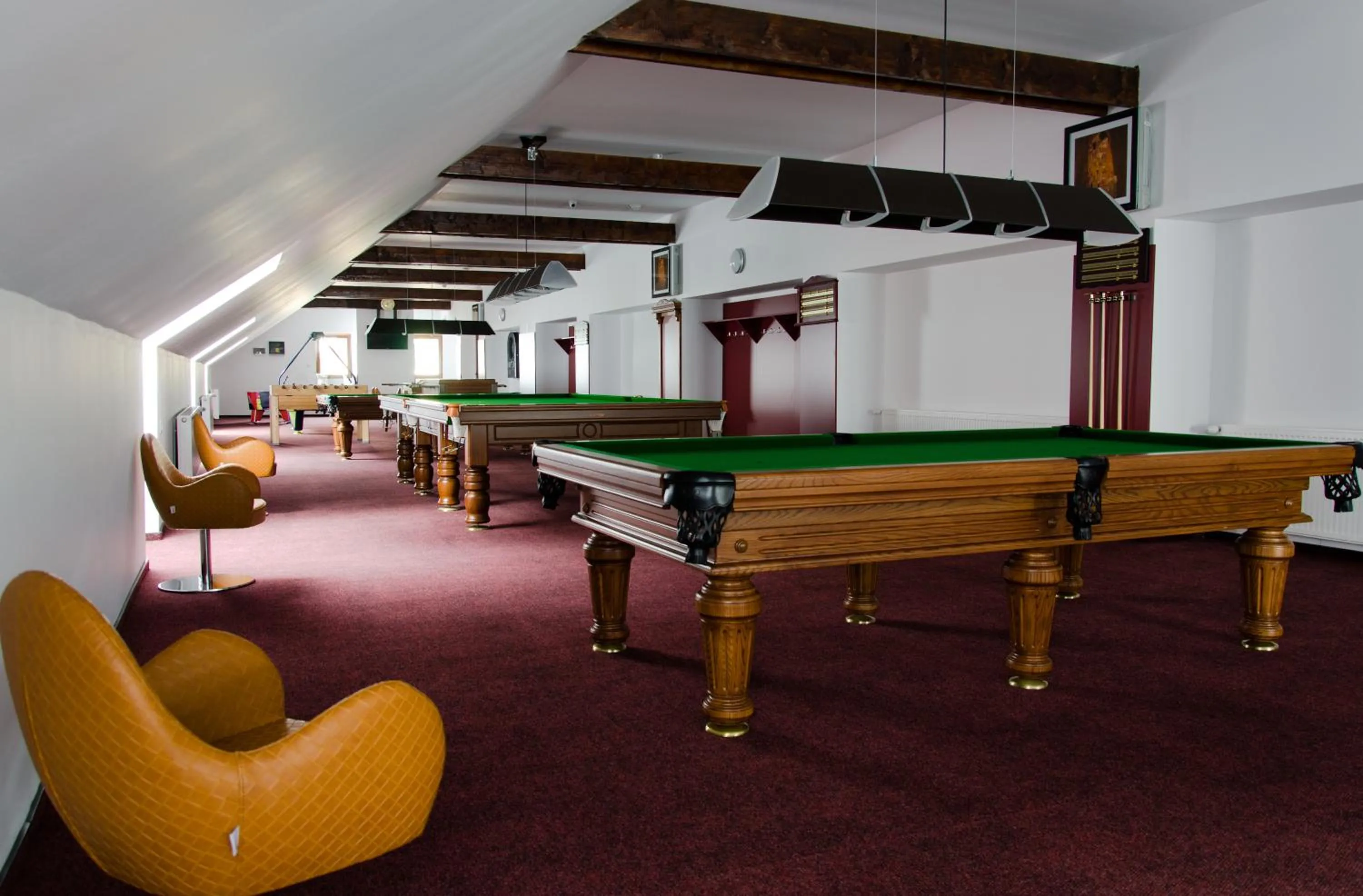 Billiard in Complex Turistic Bucovina