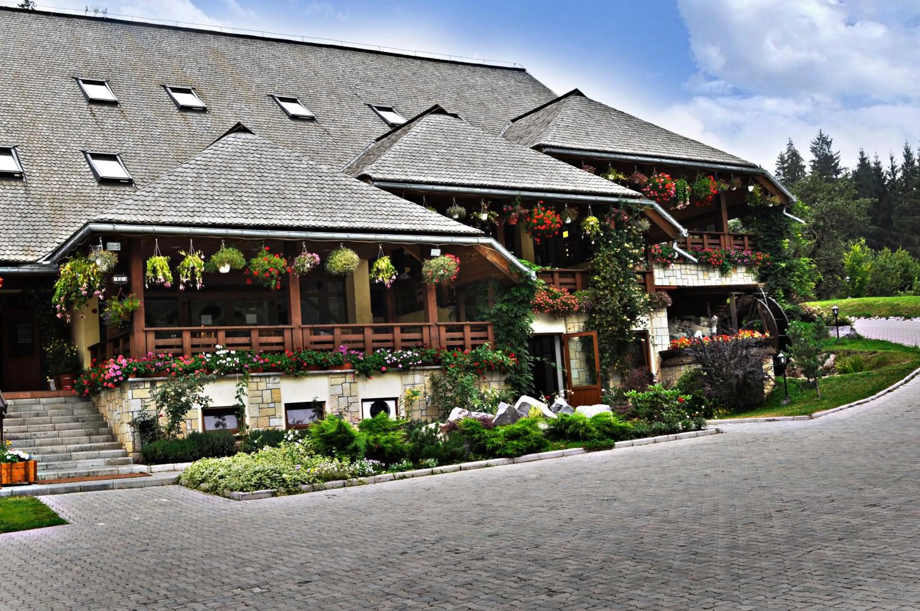 Property building in Complex Turistic Bucovina