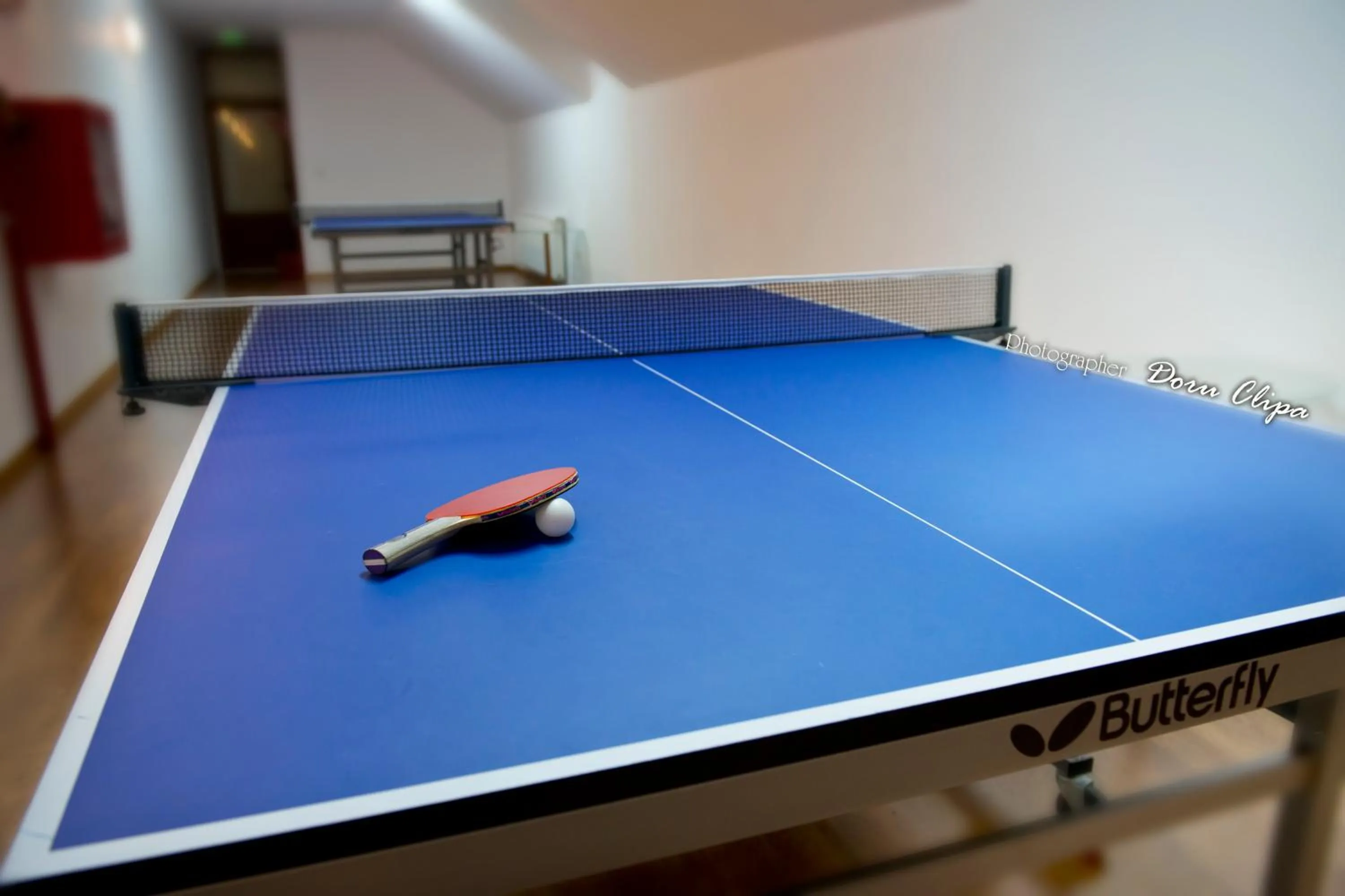 Table tennis in Complex Turistic Bucovina