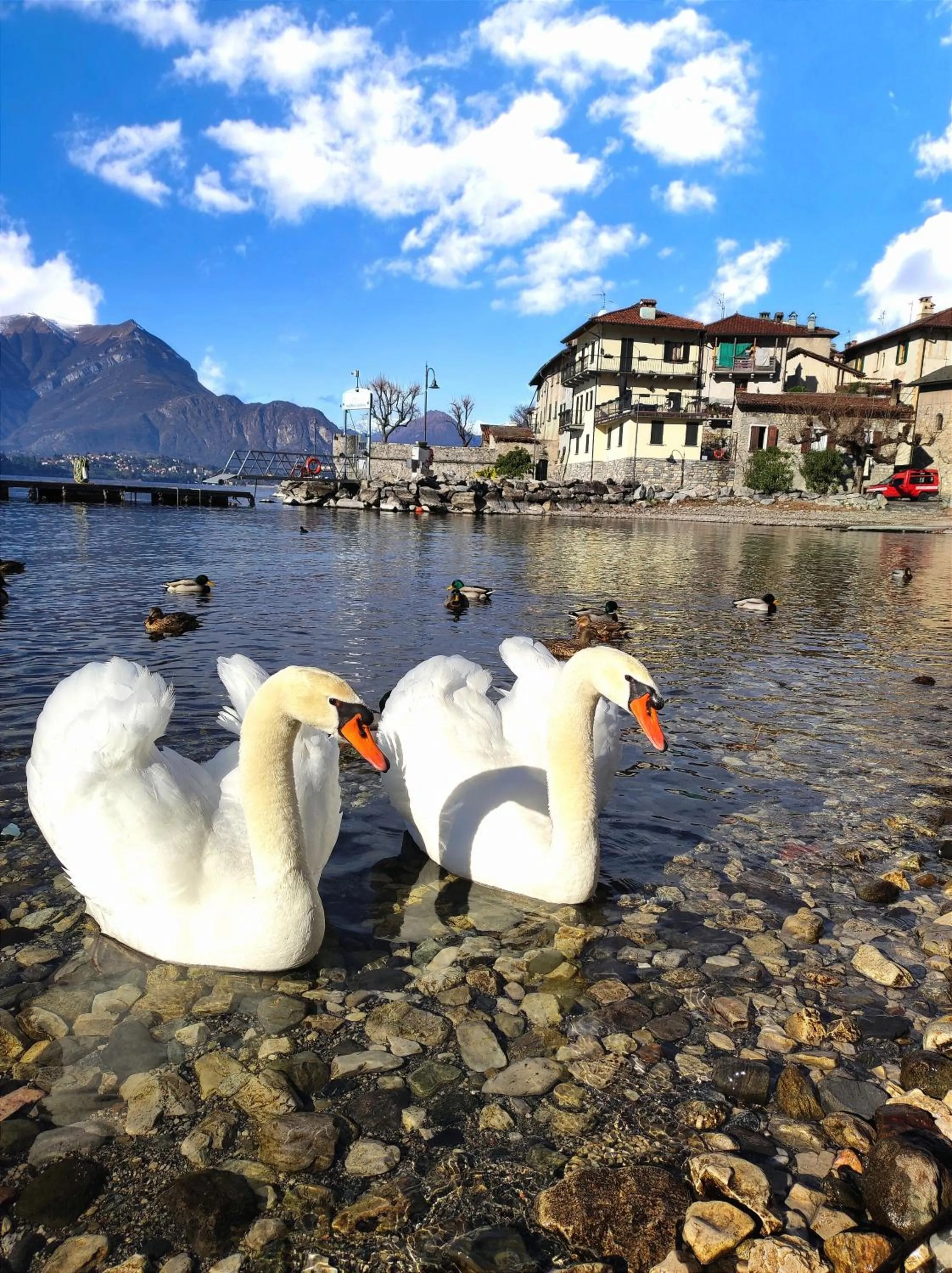 Natural landscape in B&B Le Fate Del Lago