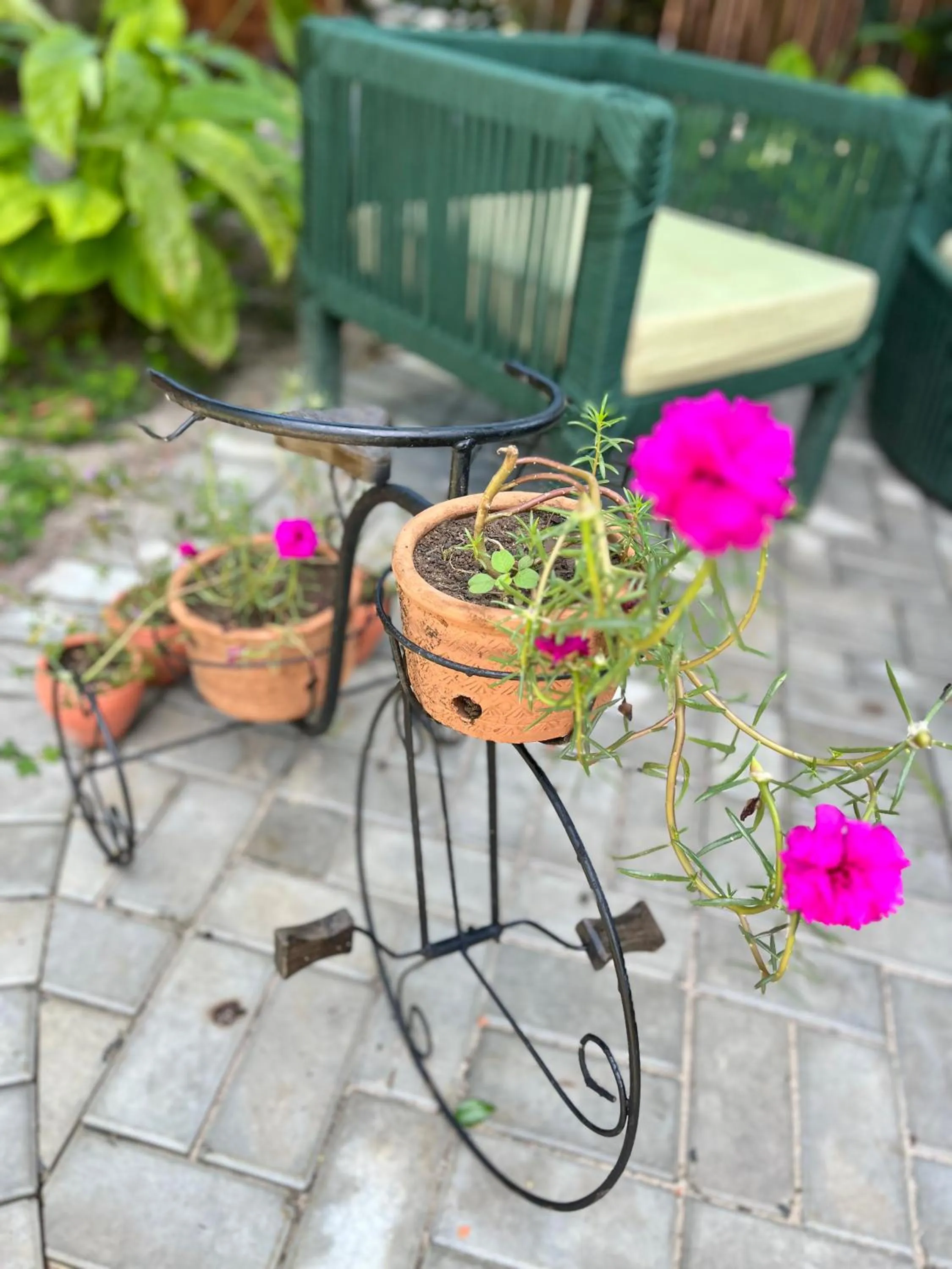 Garden in Pousada Vilarejo
