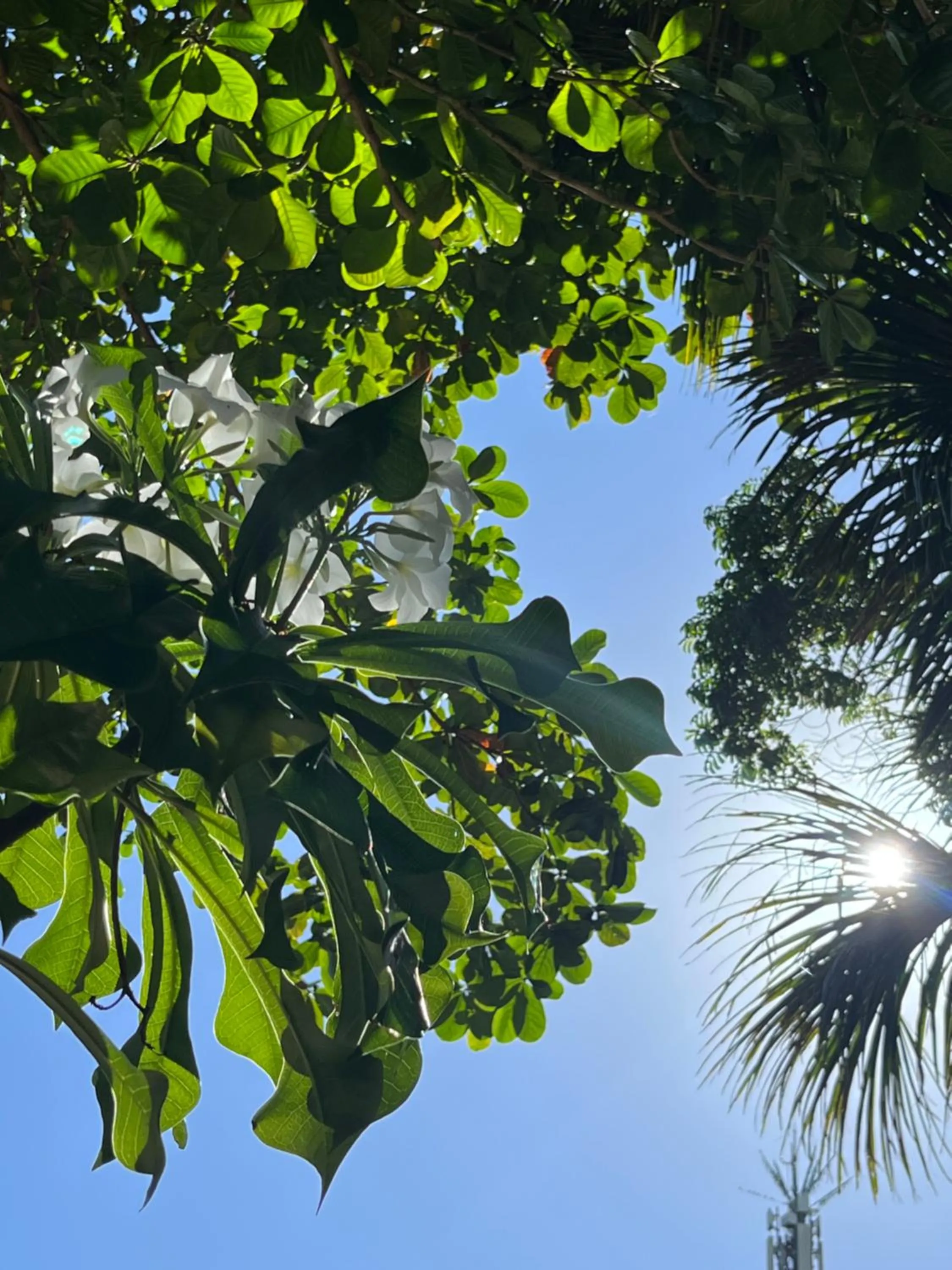Natural landscape in Pousada Vilarejo