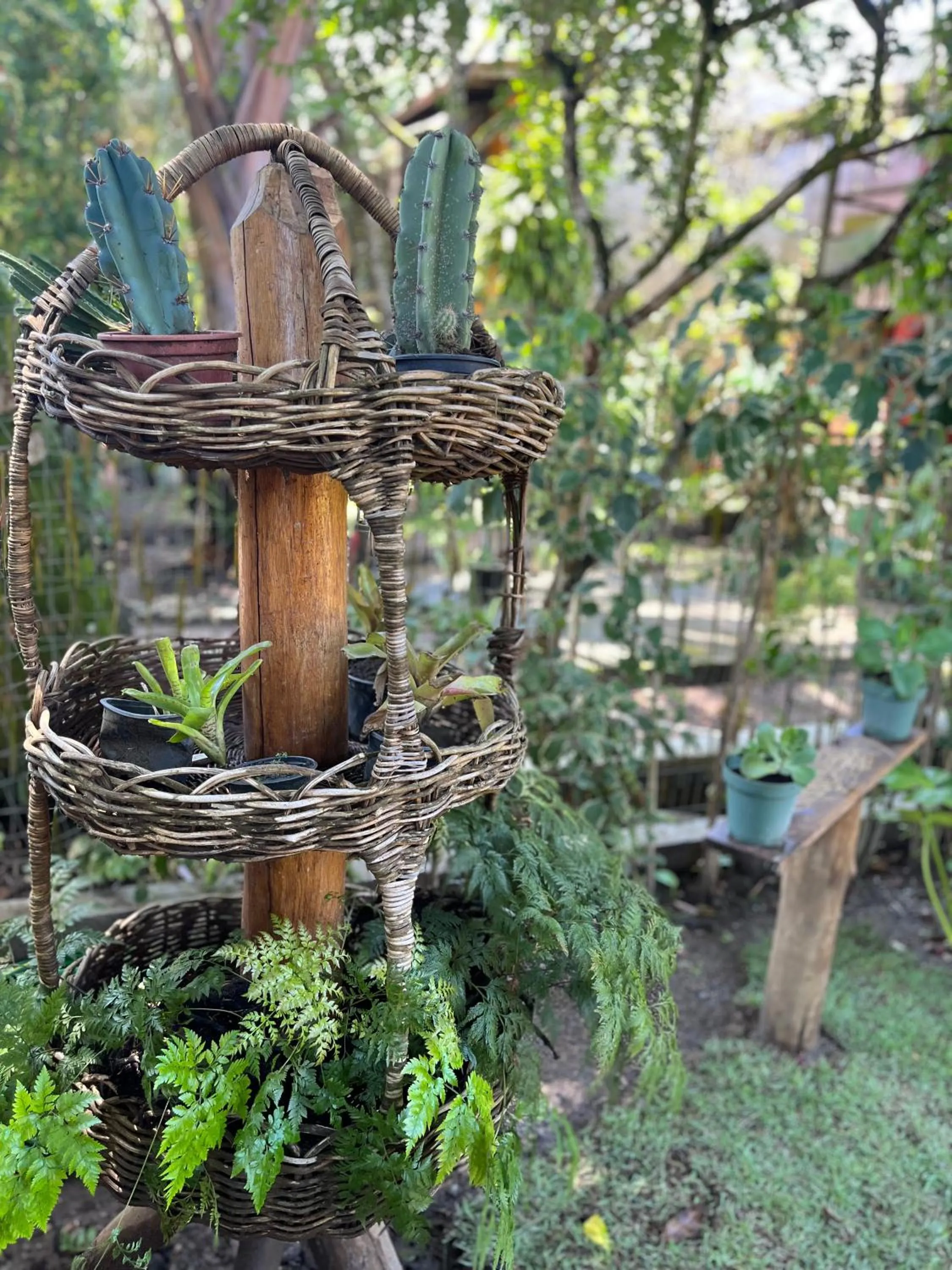 Garden view in Pousada Vilarejo