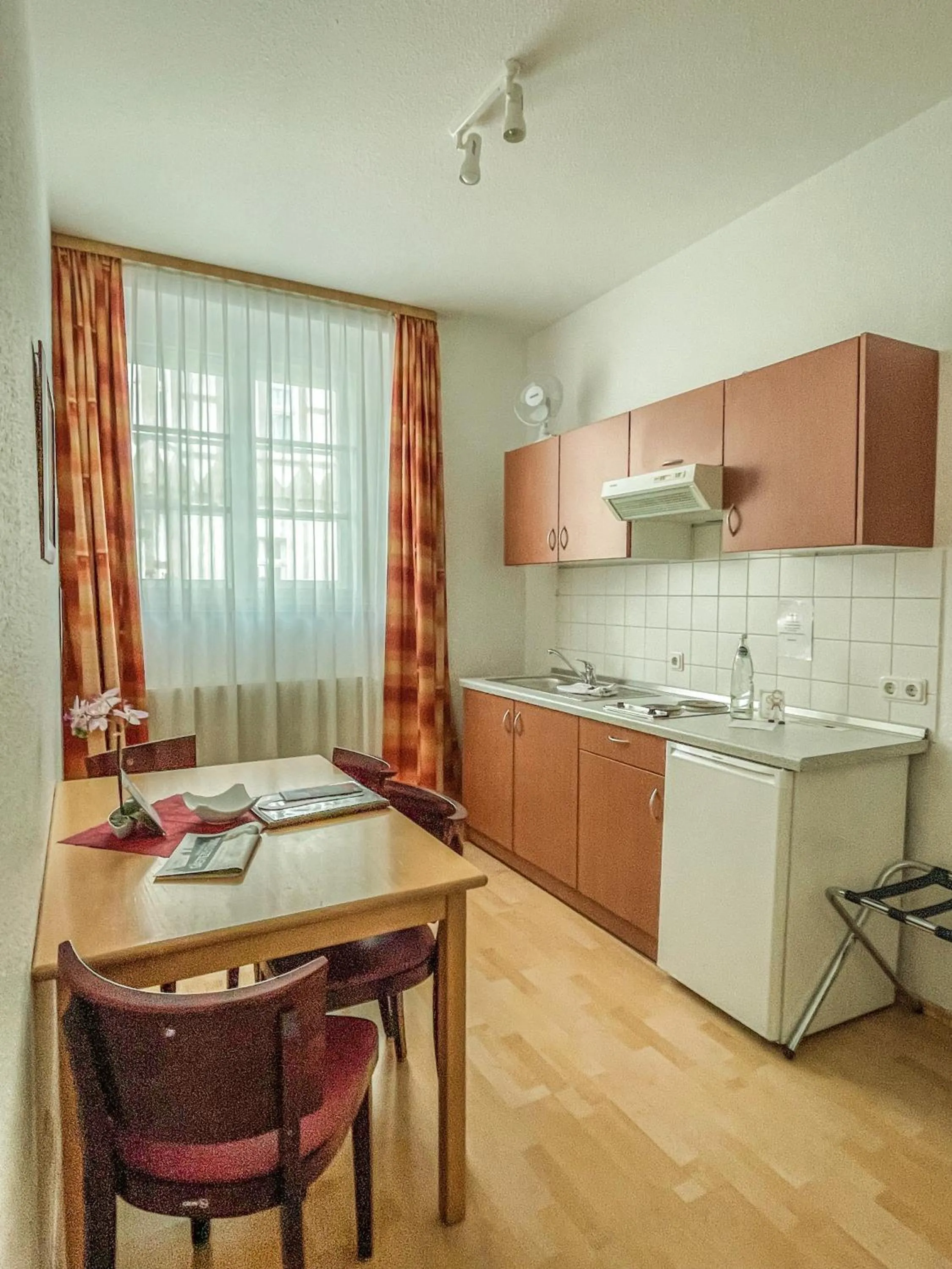 Kitchen or kitchenette in Altwernigeröder Apparthotel