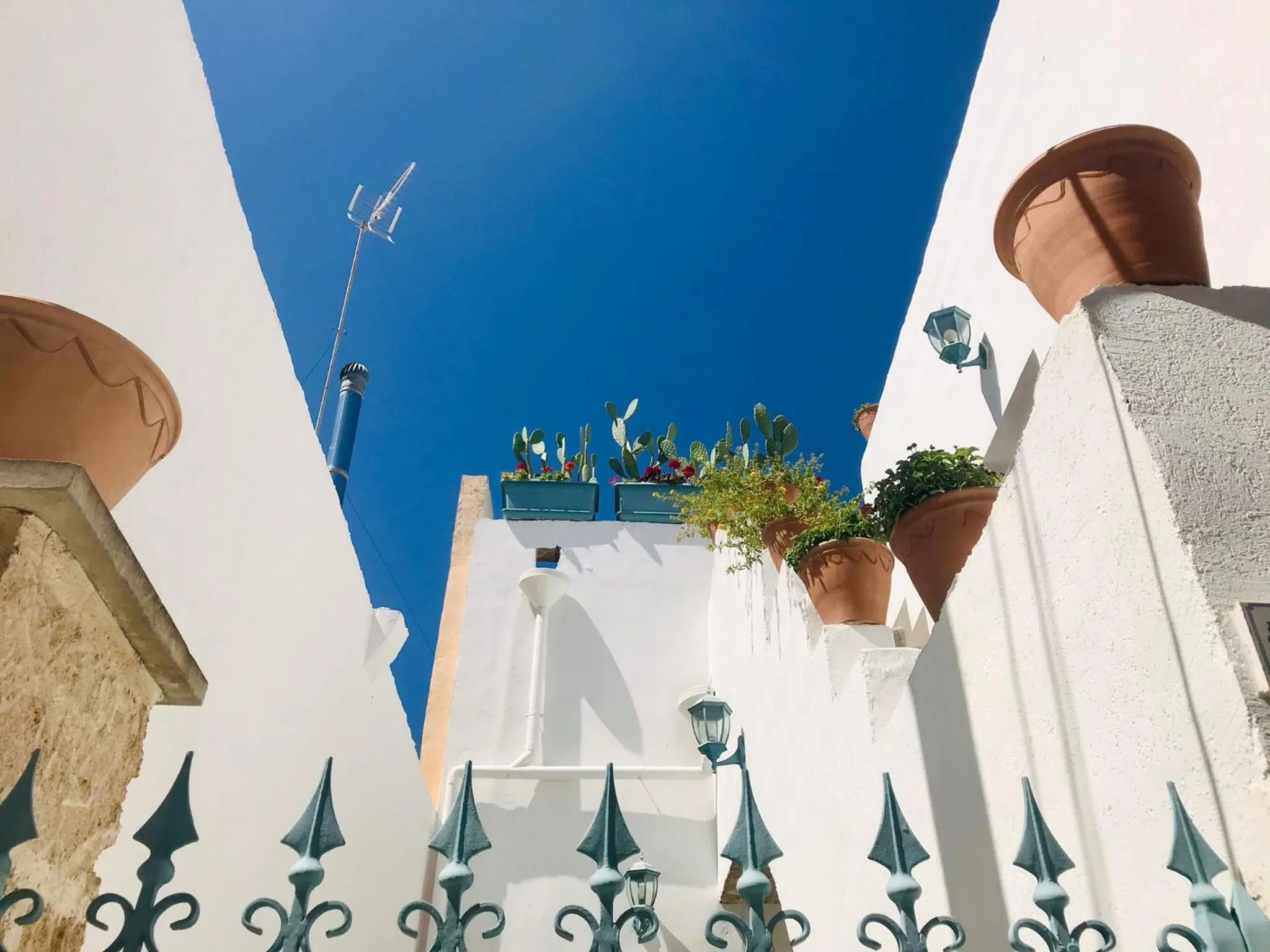 Property building in Cortellenica