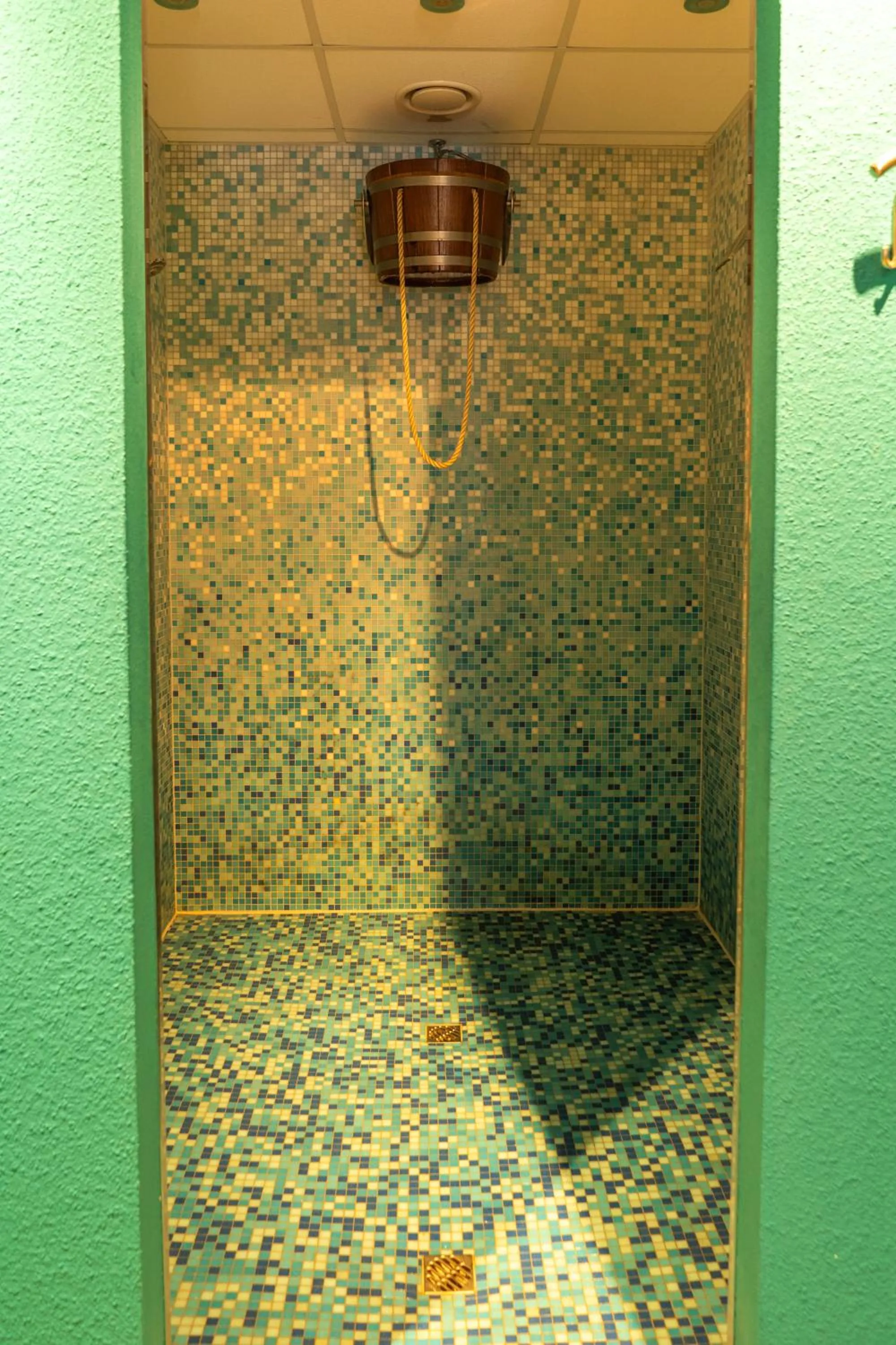 Spa and wellness centre/facilities in Parkhotel Waldschlösschen