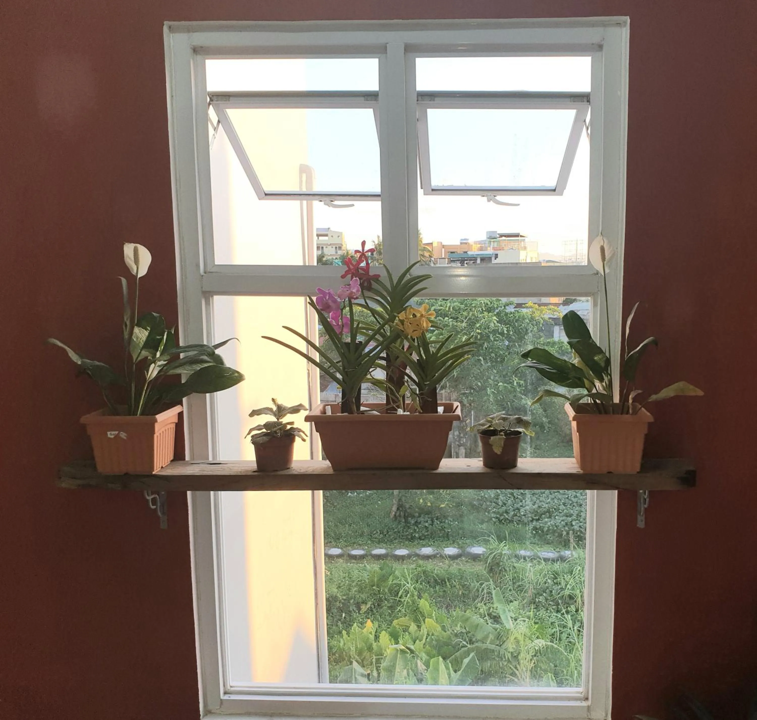 Decorative detail in Borj Place