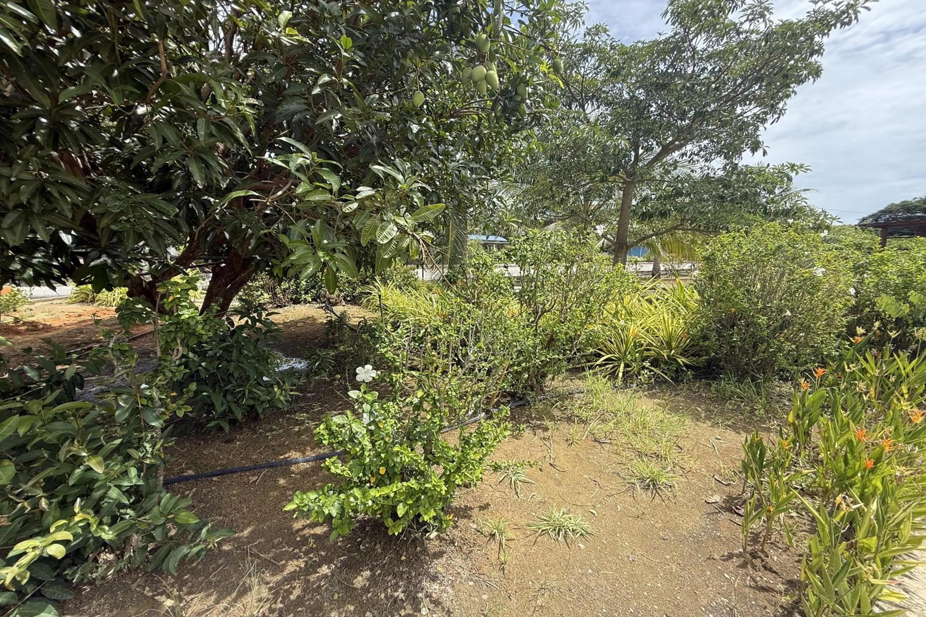 Garden in Inapan Taman Herba
