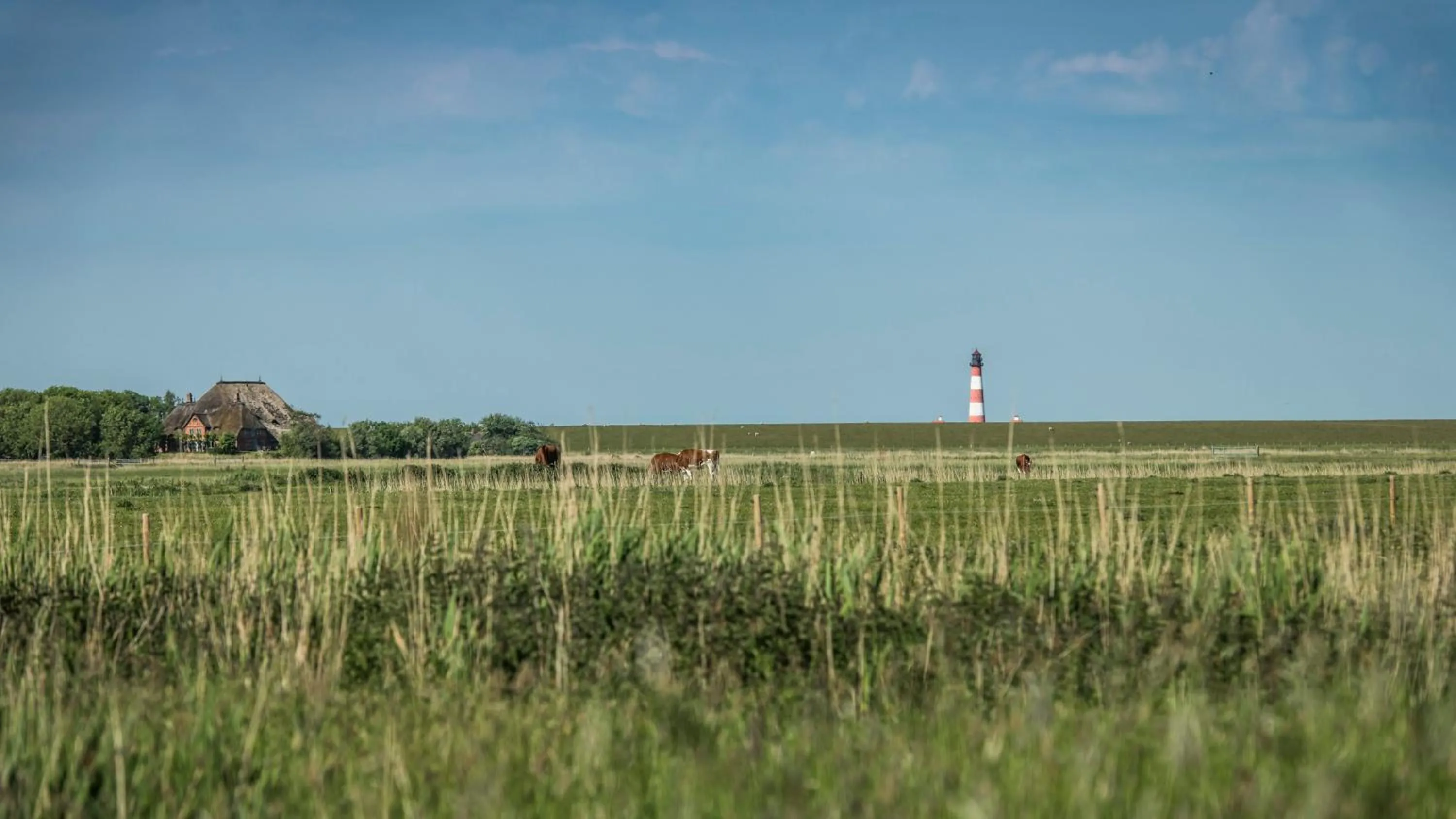Nearby landmark in Kirchspielkrug Landhotel & Restaurant