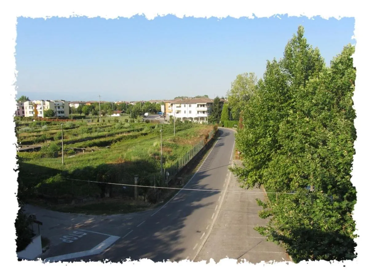 View (from property/room) in Hotel Green castellani