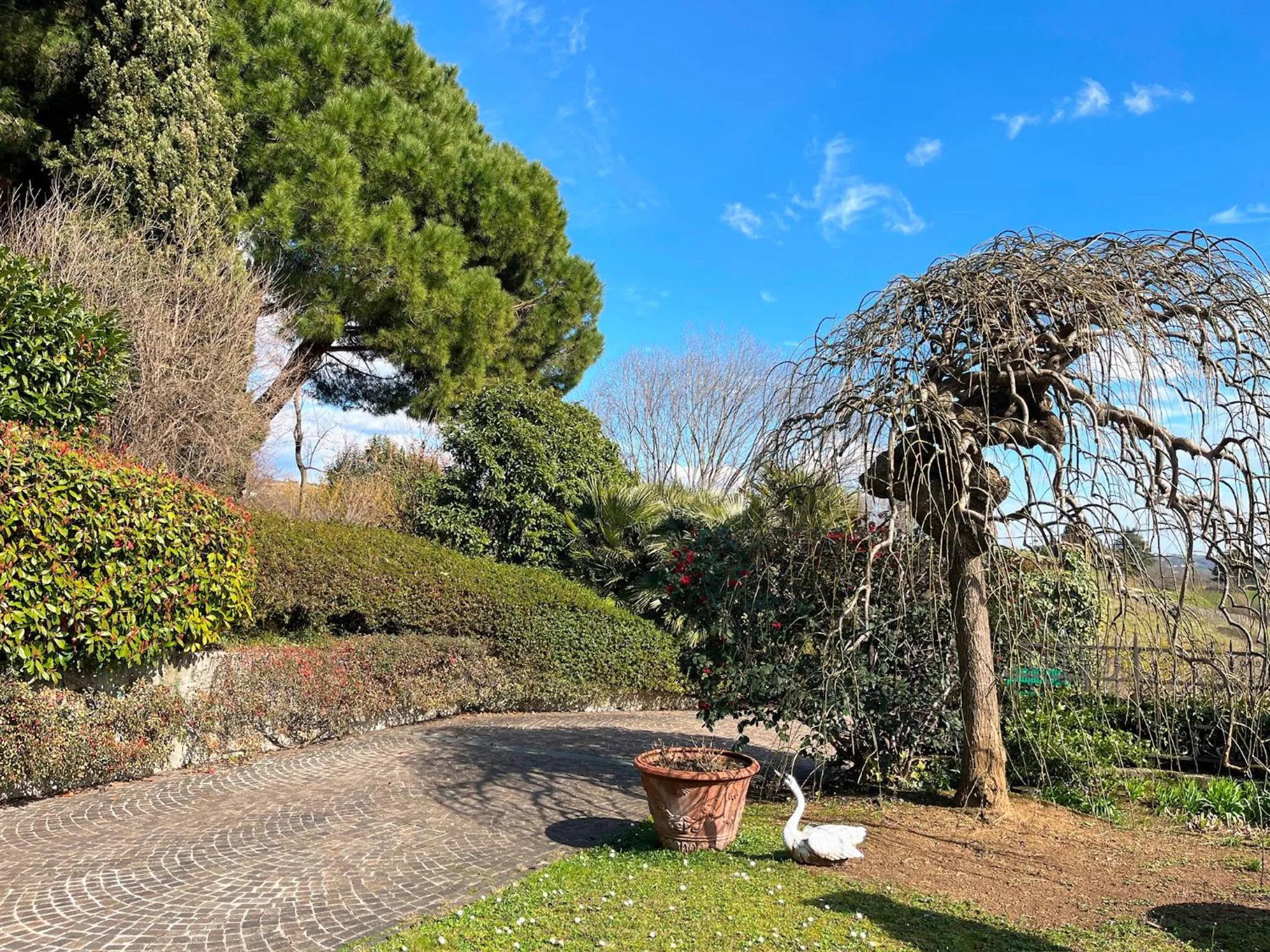 Garden in La Collina delle Acacie