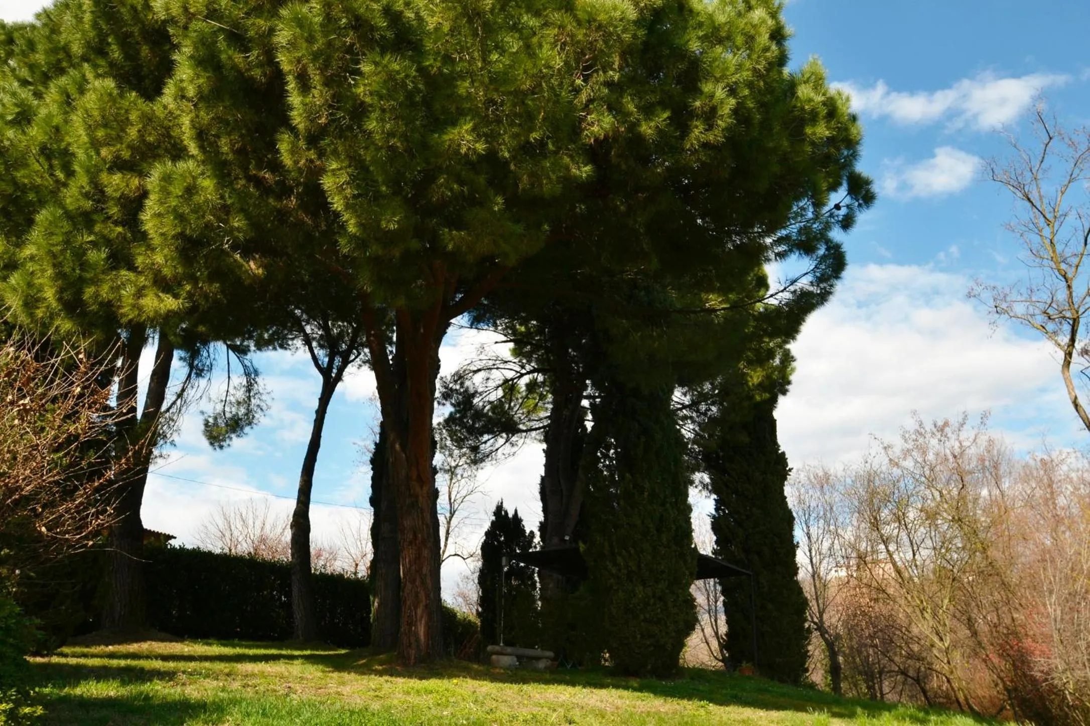 Garden in La Collina delle Acacie