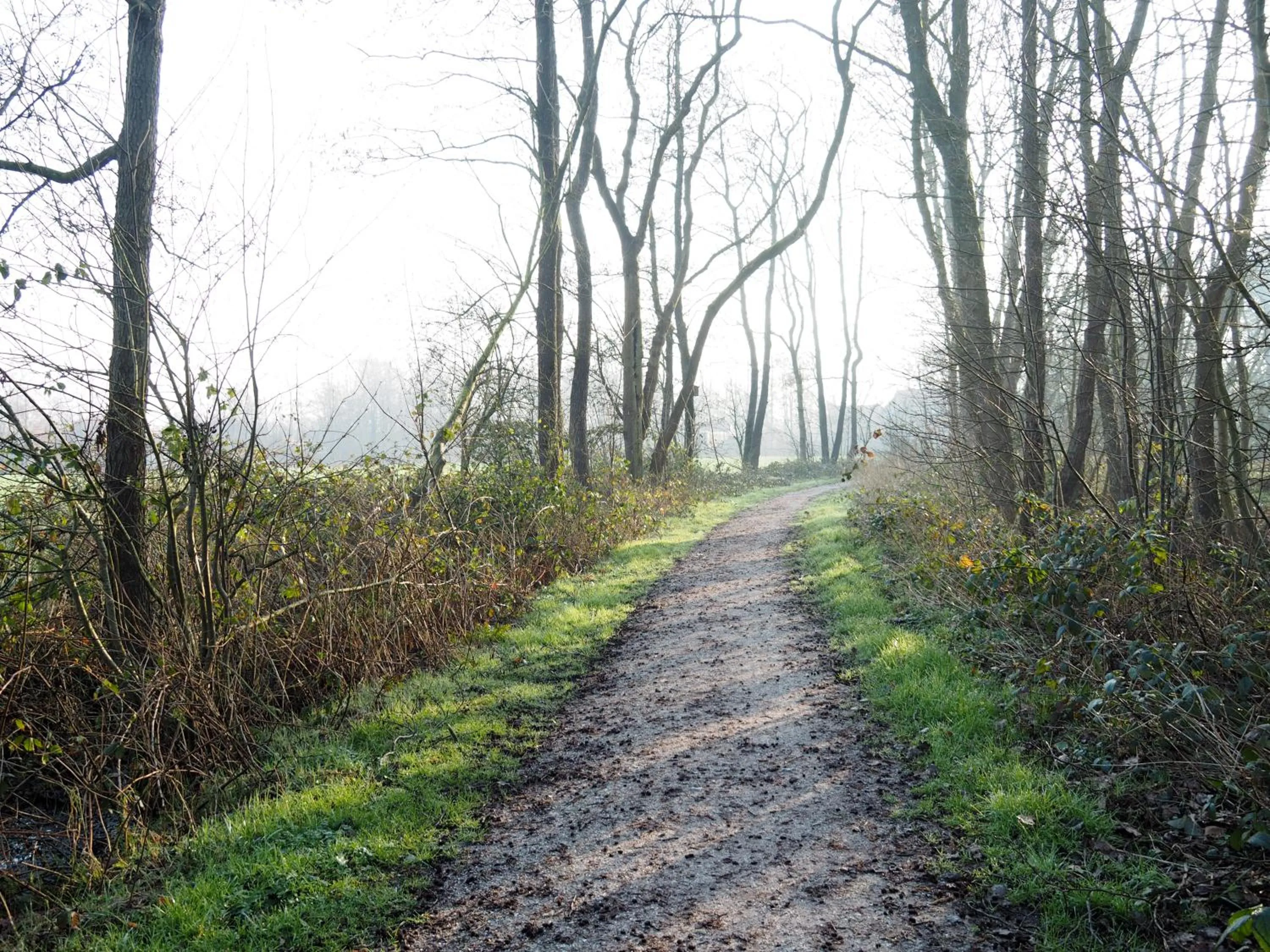Neighbourhood in Bed & Brochje Burgum