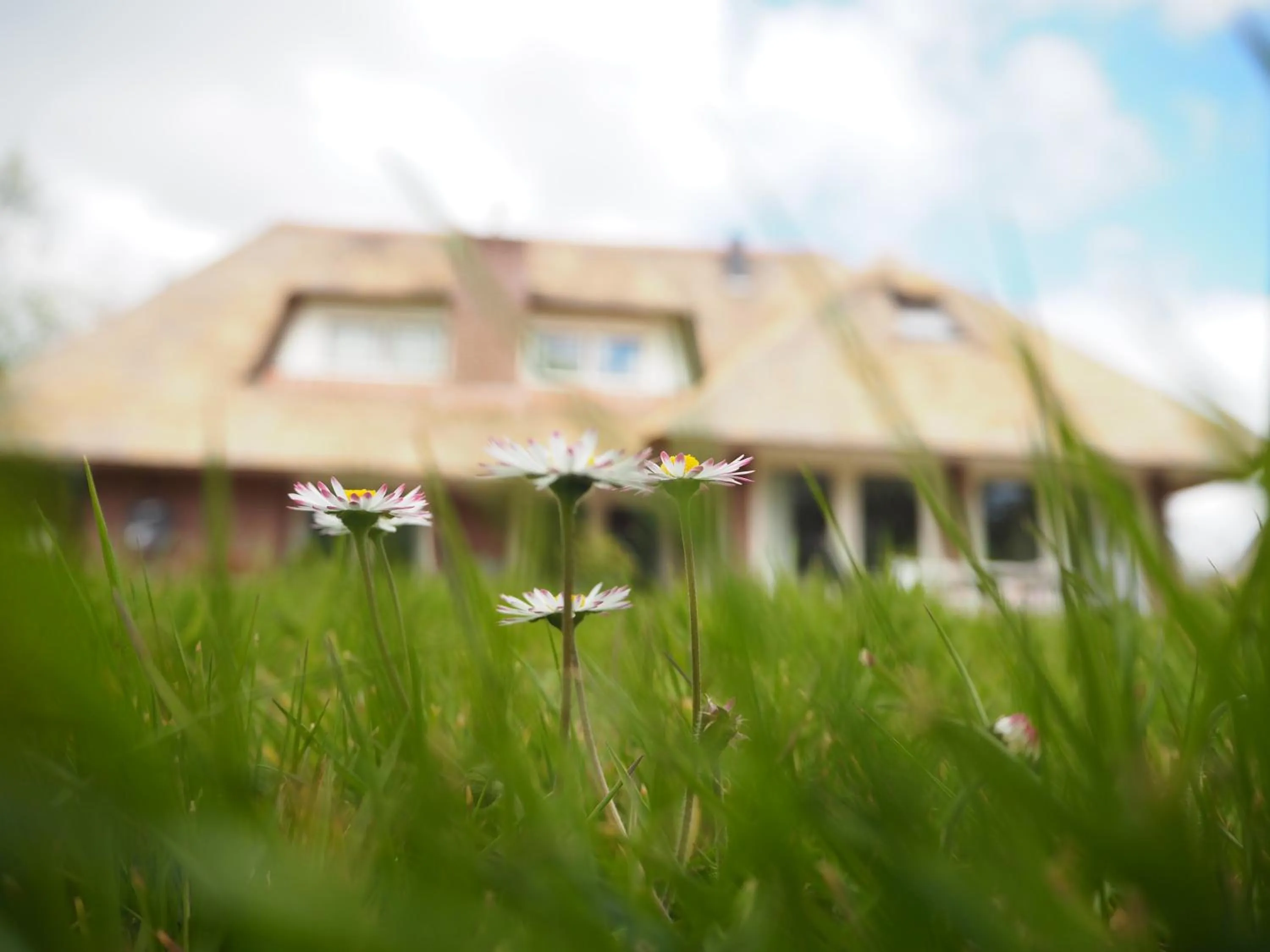 Garden in Bed & Brochje Burgum