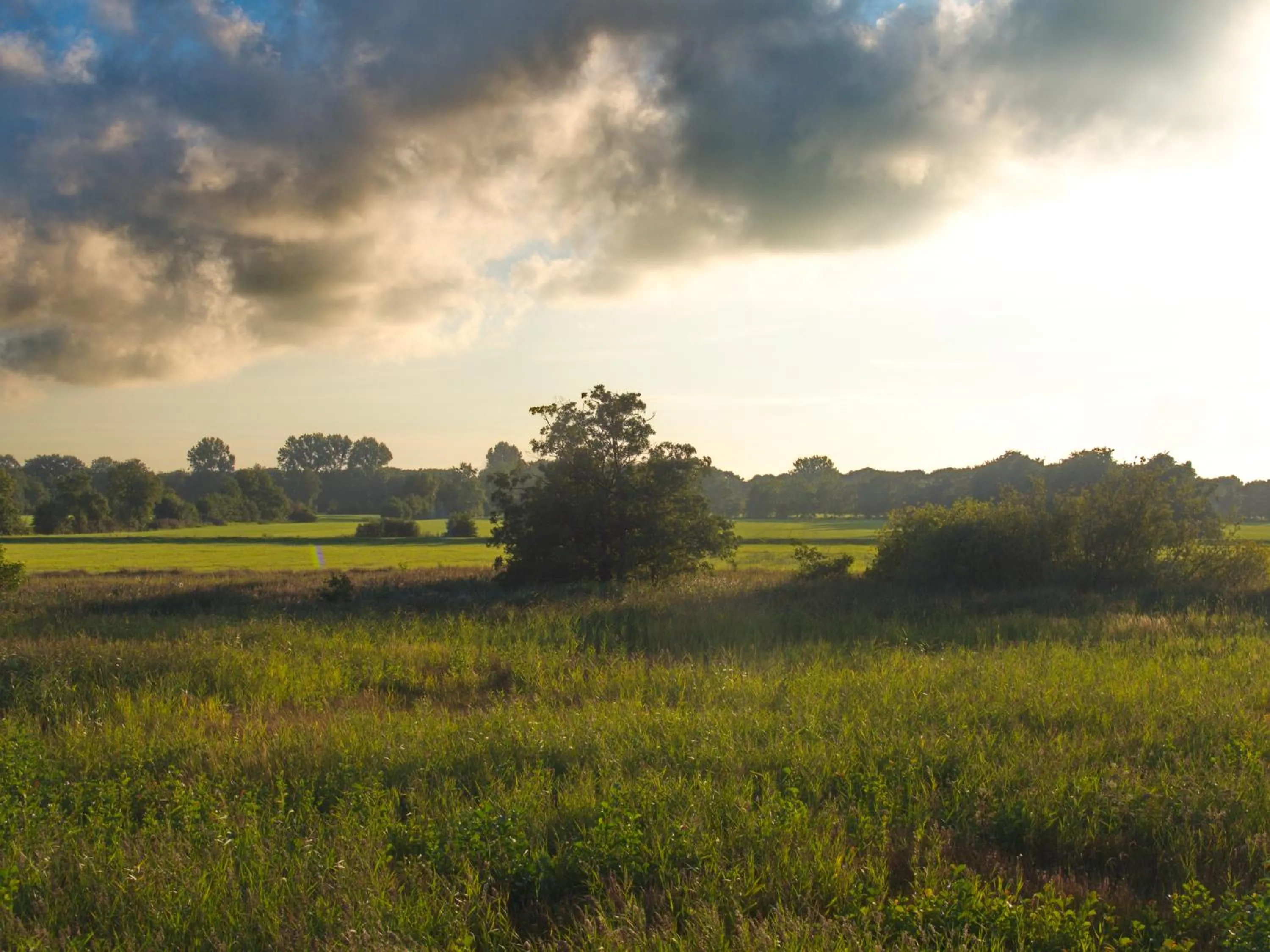 Area and facilities in Bed & Brochje Burgum