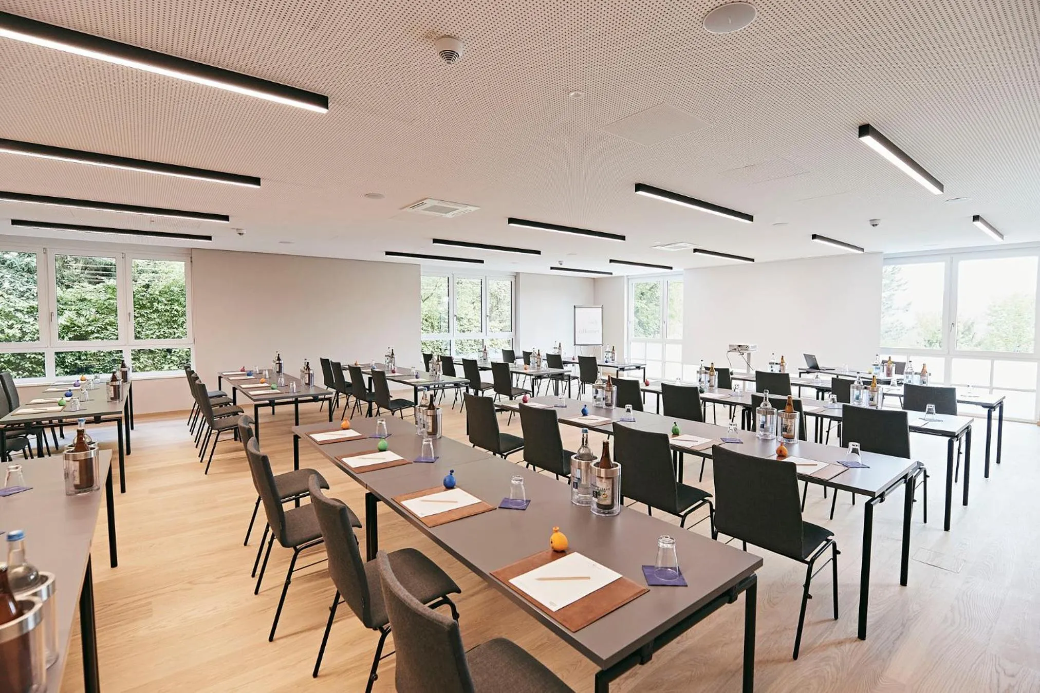 Business facilities in Seehotel Maria Laach