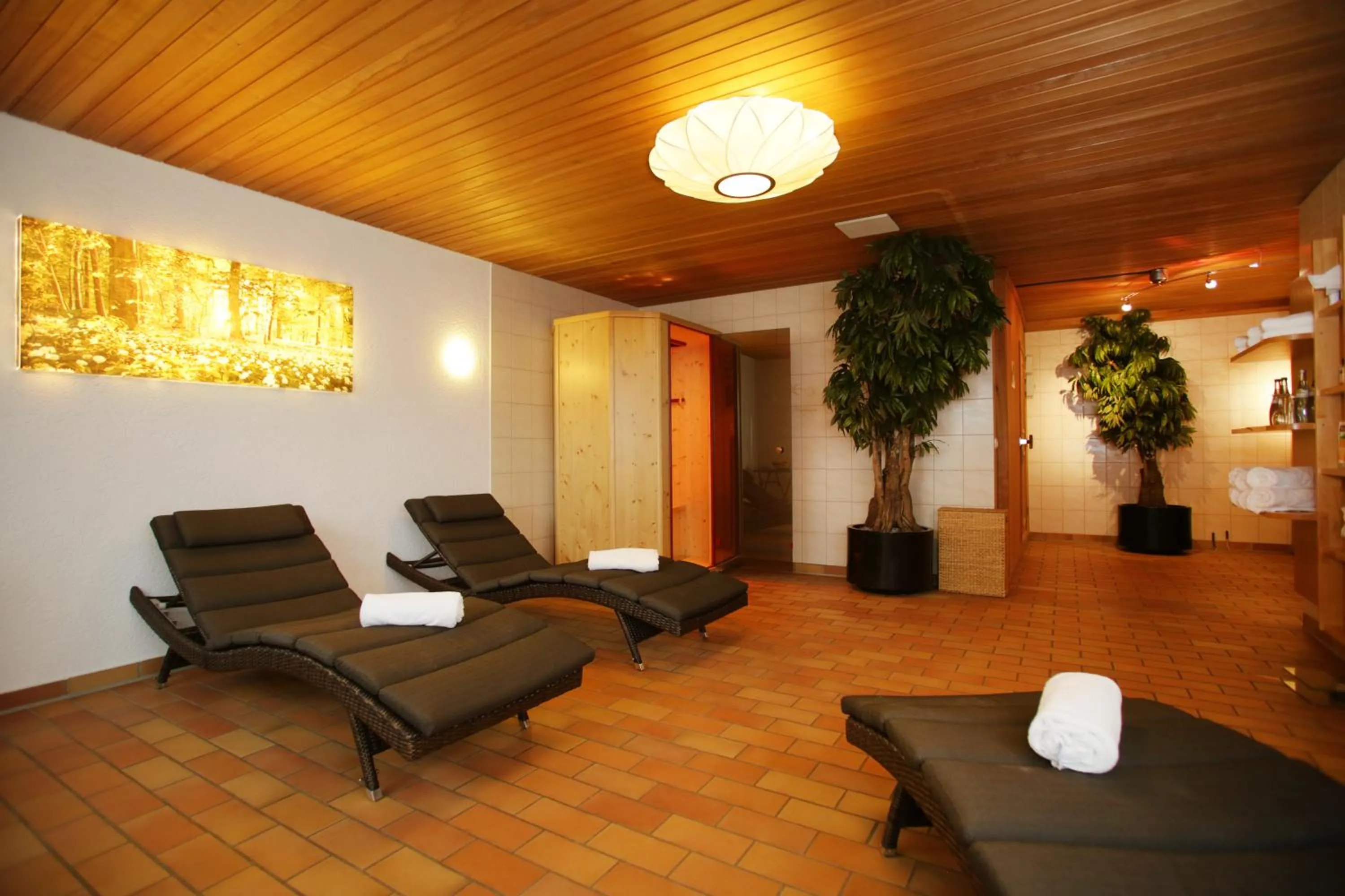 Spa and wellness centre/facilities in Landidyll Hotel Zum Alten Schloss