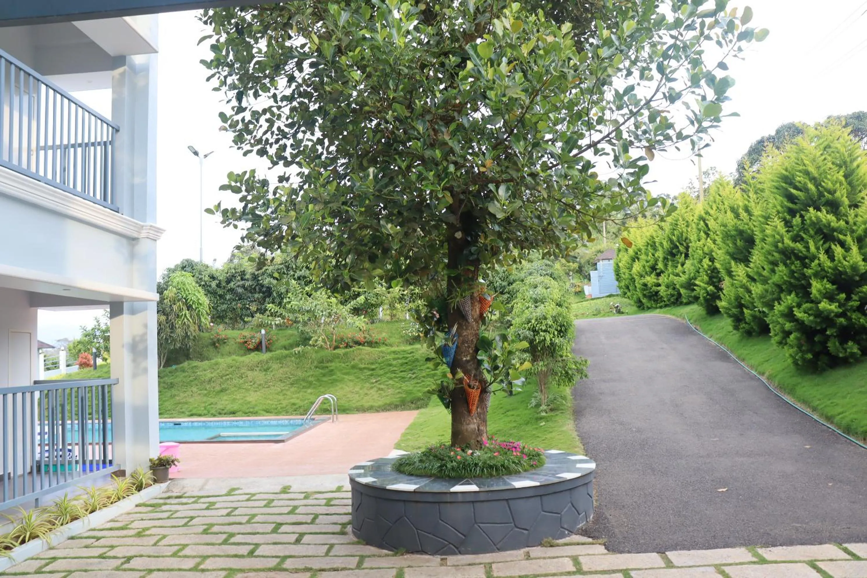 Natural landscape in Pleasant Hill Resort