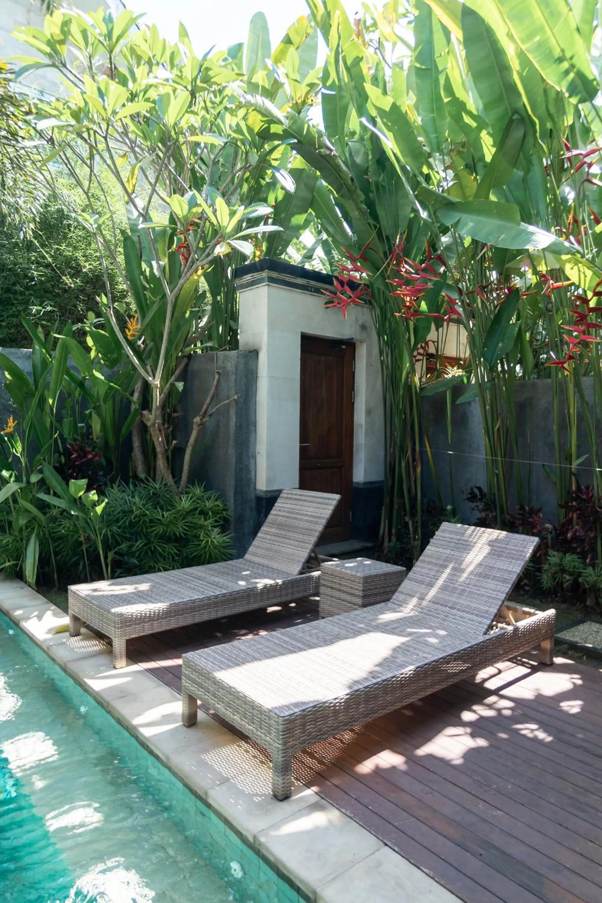 Garden in Belle Asana