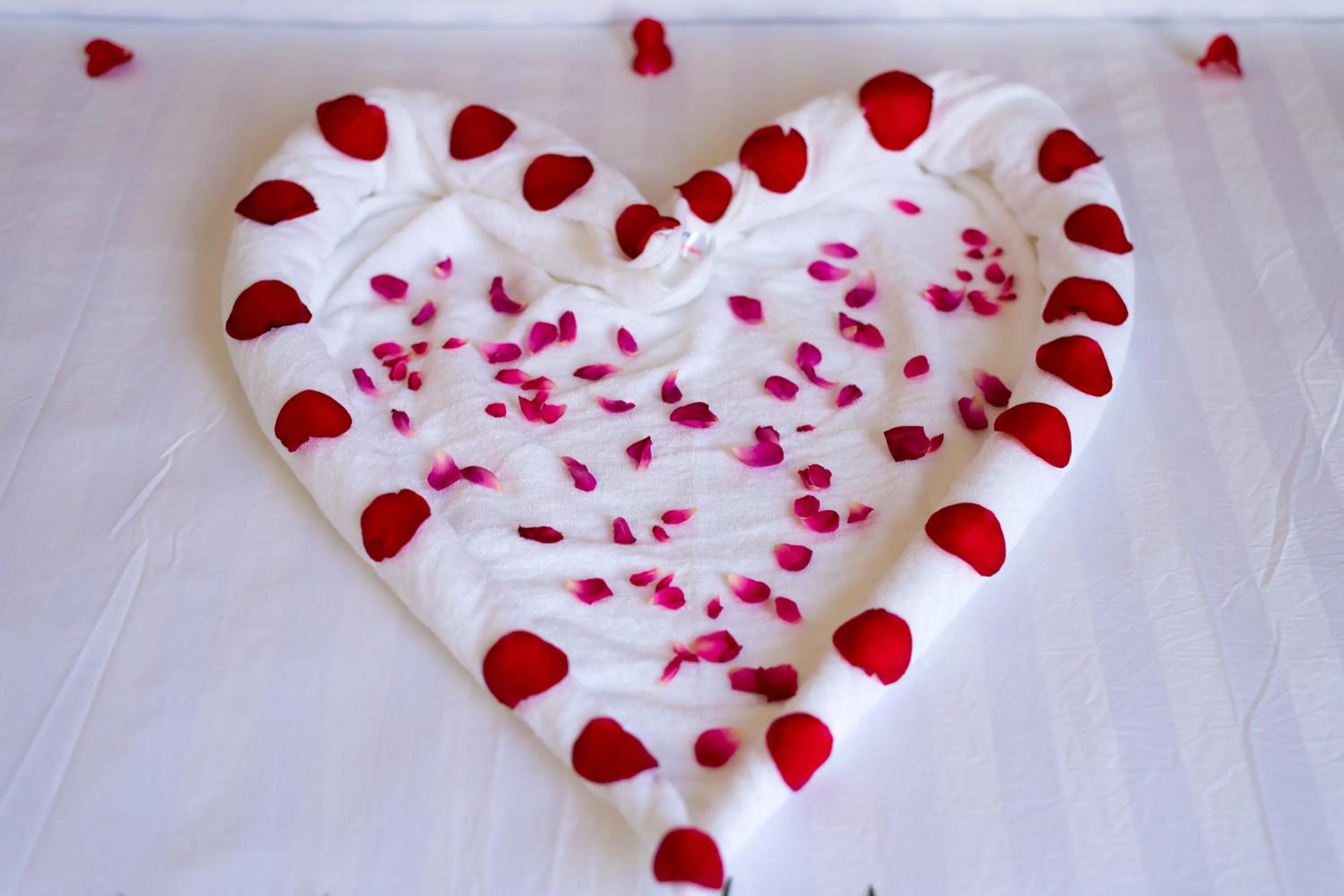 Bedroom in Lavila Homestay Hoi An