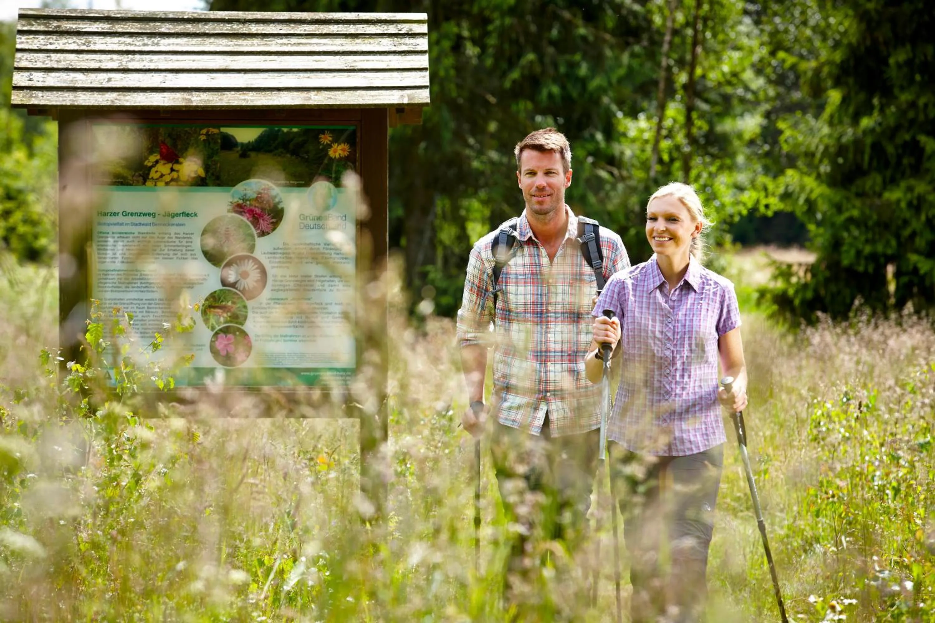 Activities in relexa hotel Harz-Wald Braunlage