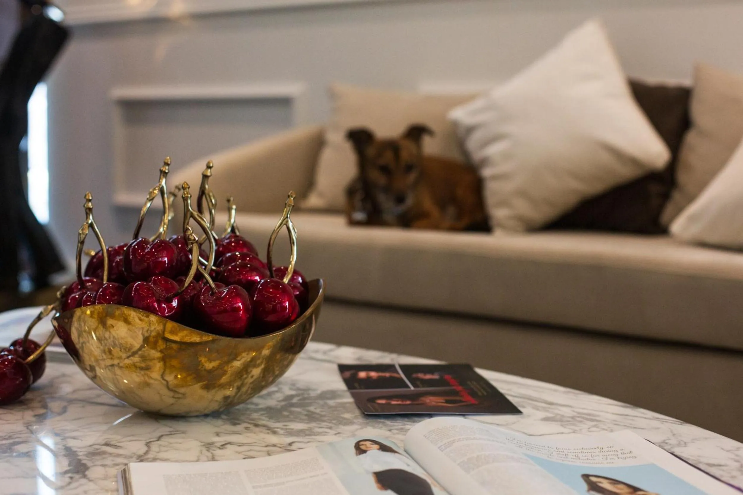 Living room in Boutique Hotel Vissi d'Arte